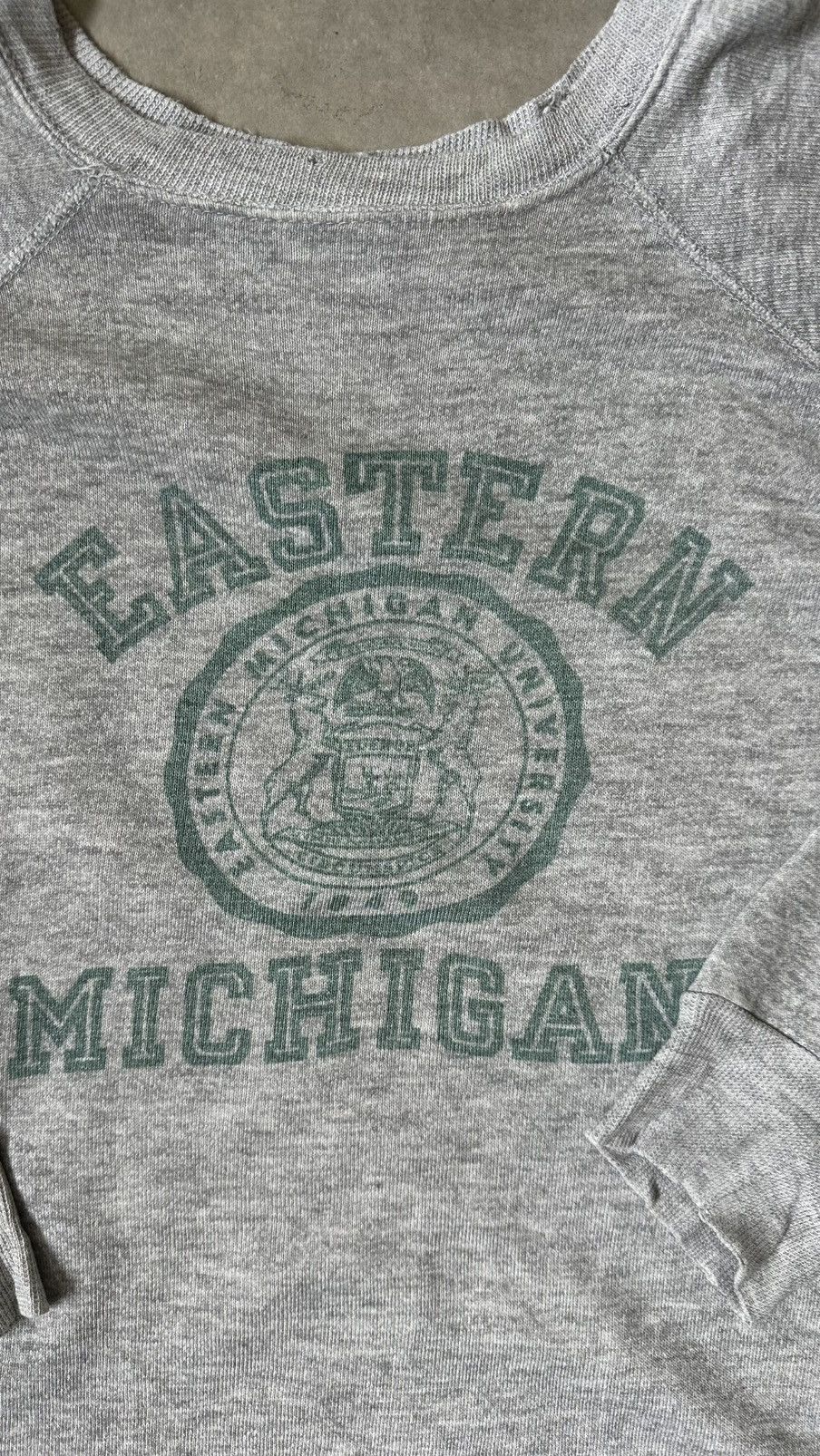 Champion VINTAGE 90S CHAMPION EASTERN MICHIGAN COLLEGIATE TEE Size US L / EU 52-54 / 3 - 2 Thumbnail