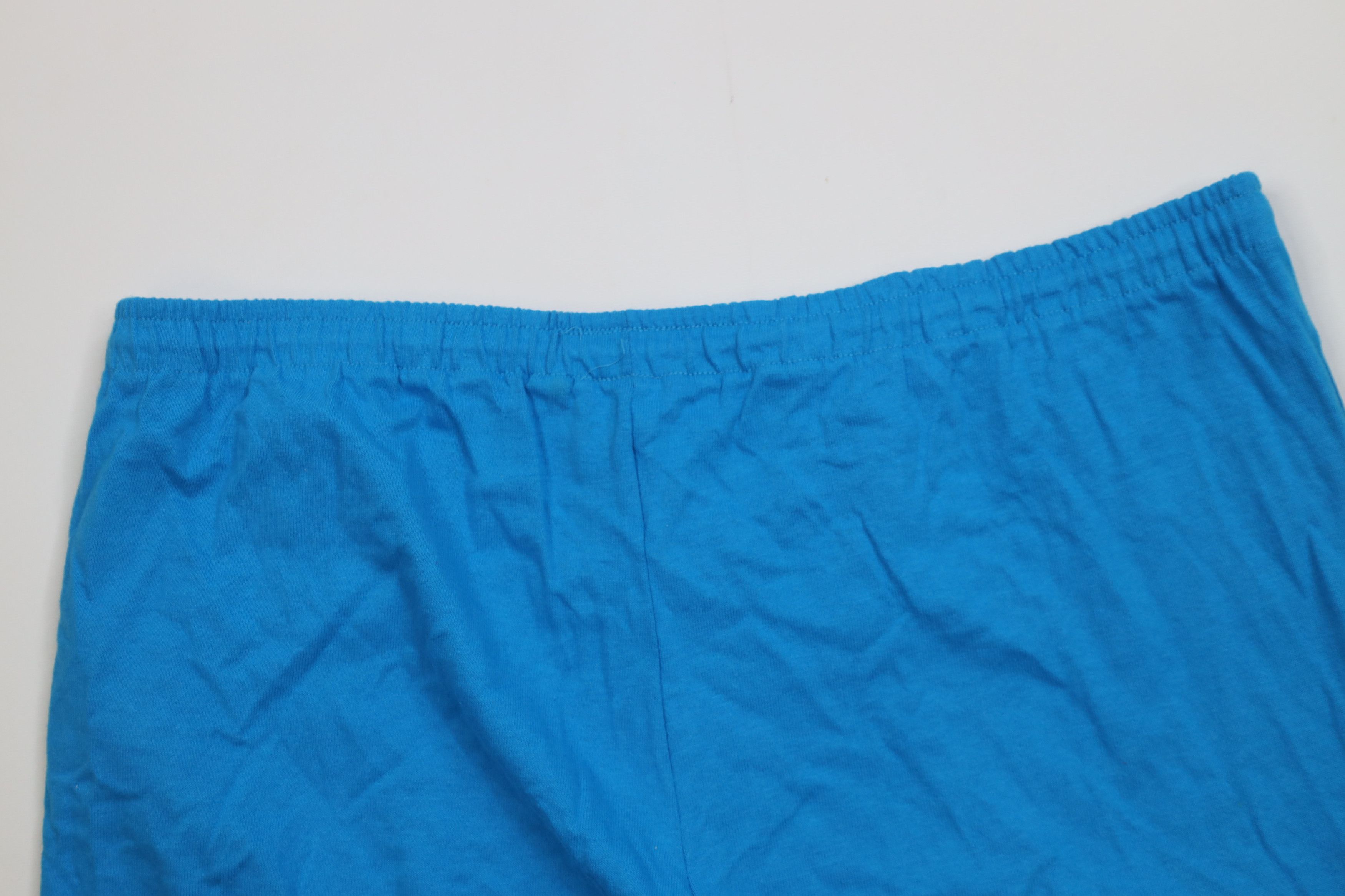 Champion Vintage 90s Champion Above Knee Jersey Knit Shorts Blue USA Size US 36 / EU 52 - 11 Thumbnail