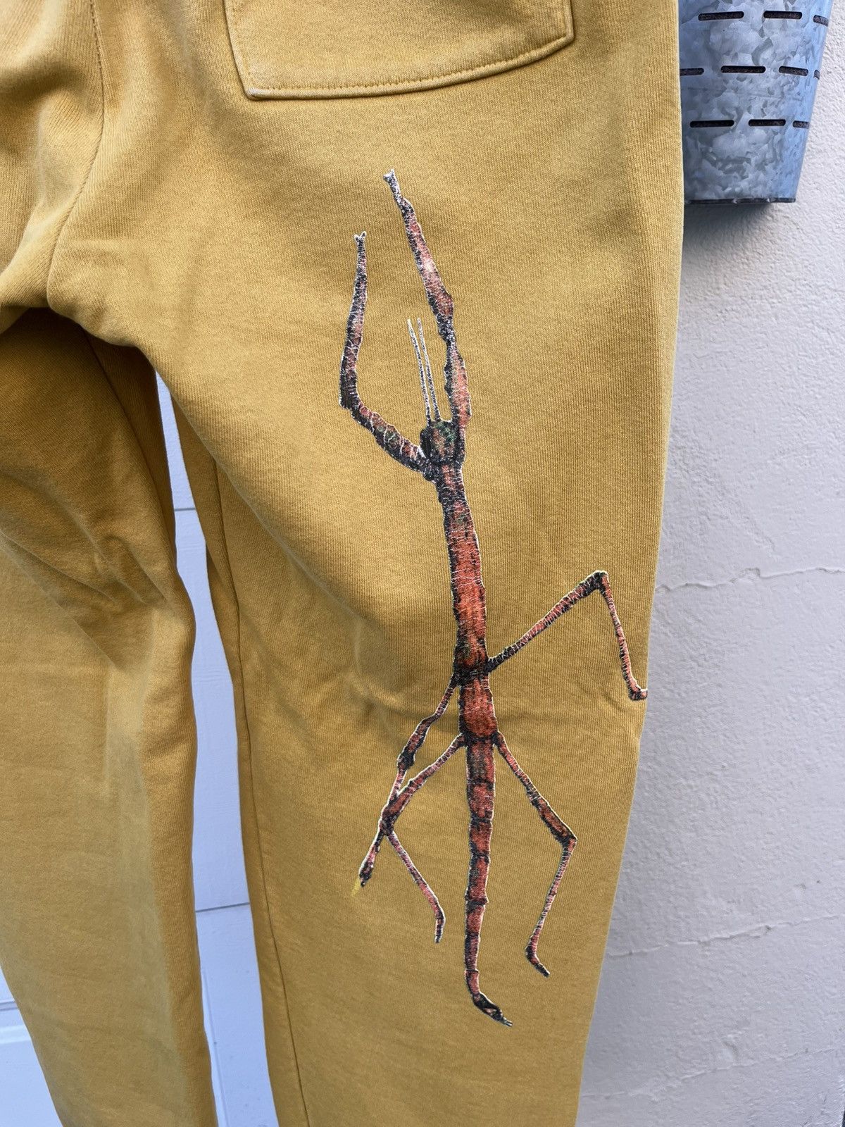 Round Two Round Two Bug sweatpants size M Size US 32 / EU 48 - 4 Thumbnail