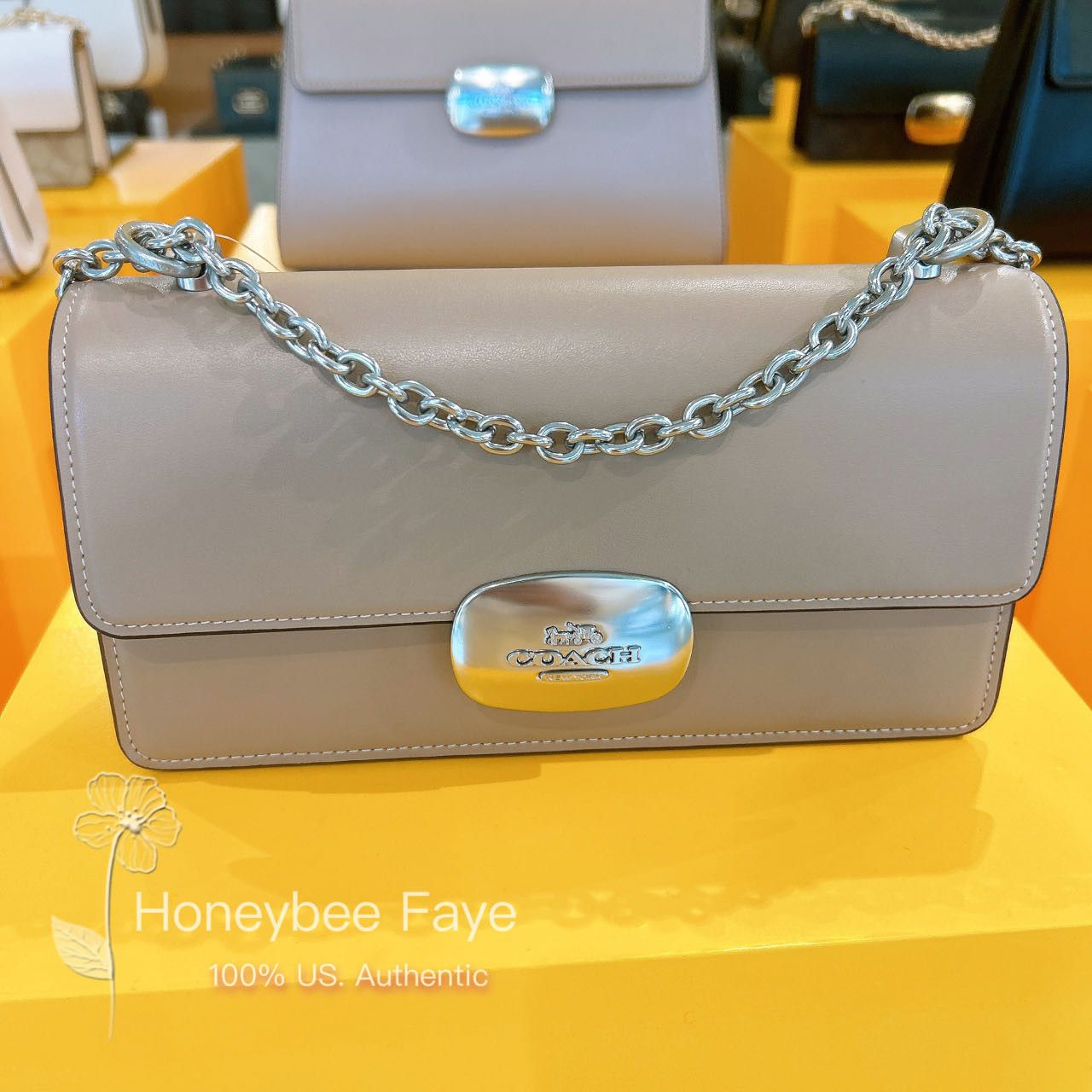 image of Coach Eliza Flap Crossbody in Silver/Taupe, Women's