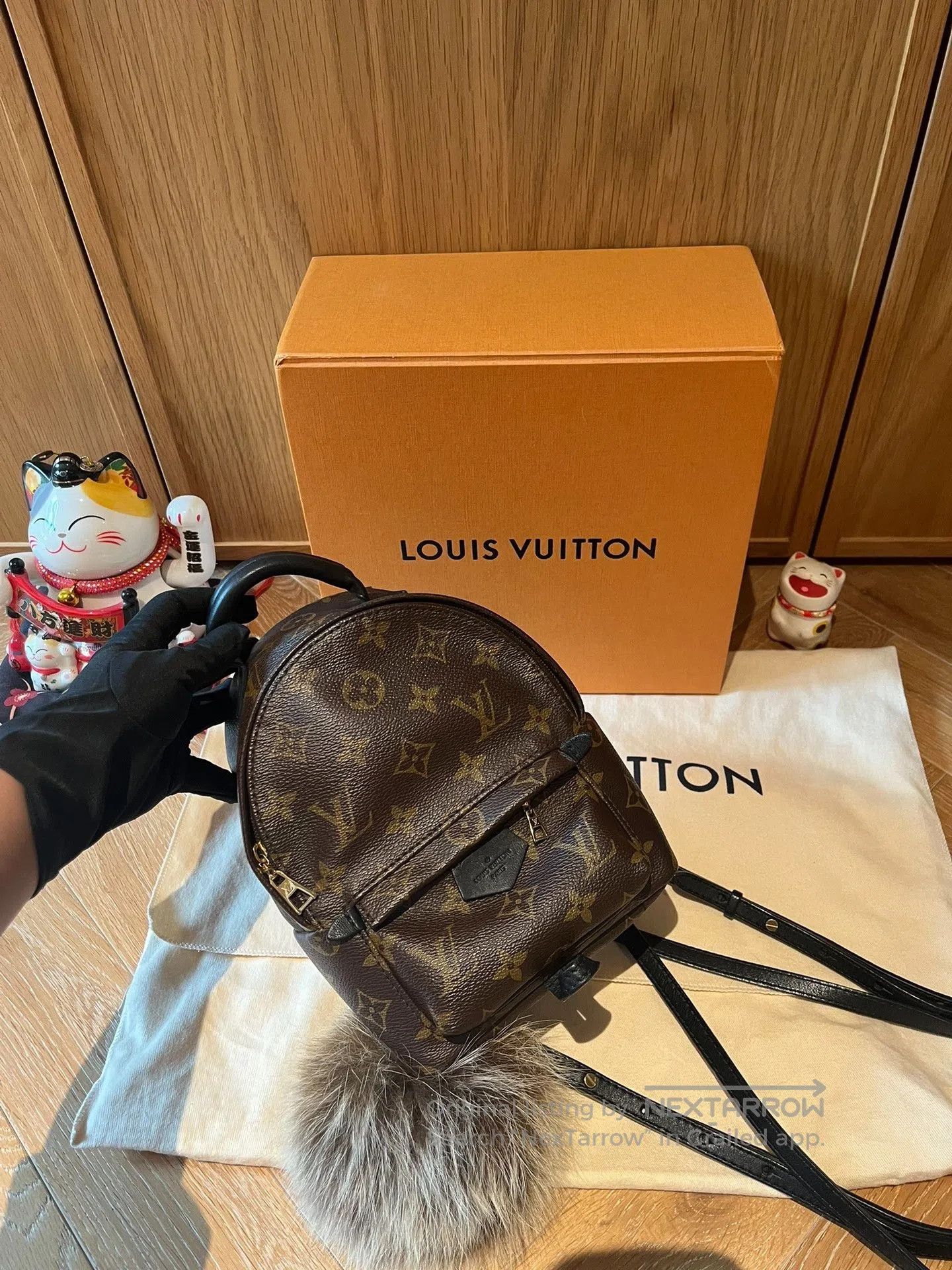 Louis Vuitton Louis Vuitton Mini Backpack M44873. Size ONE SIZE - 1 Thumbnail