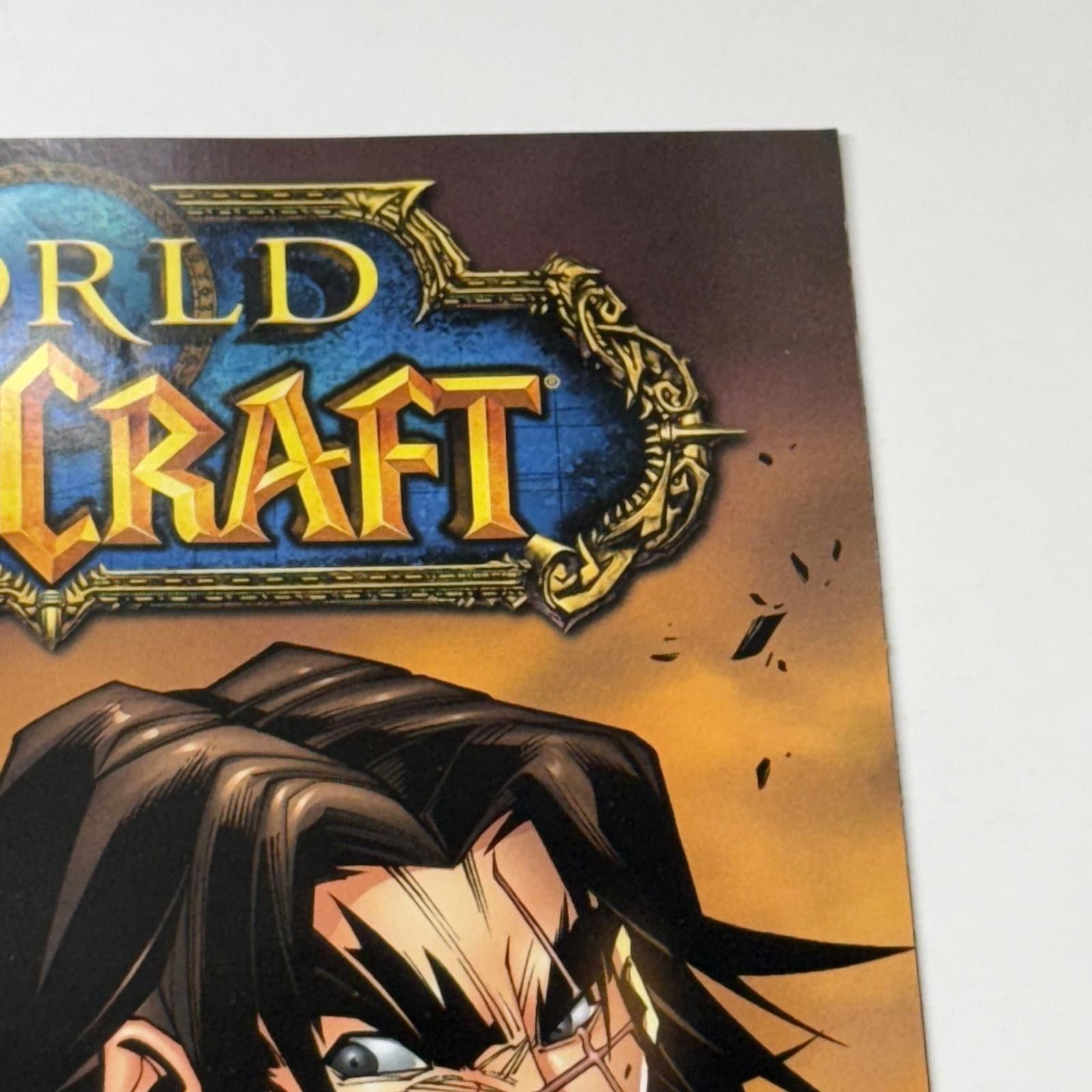 Designer Wildstorm World of Warcraft #14 FEB 2009 WoW Comic Book 1st Size ONE SIZE - 5 Thumbnail