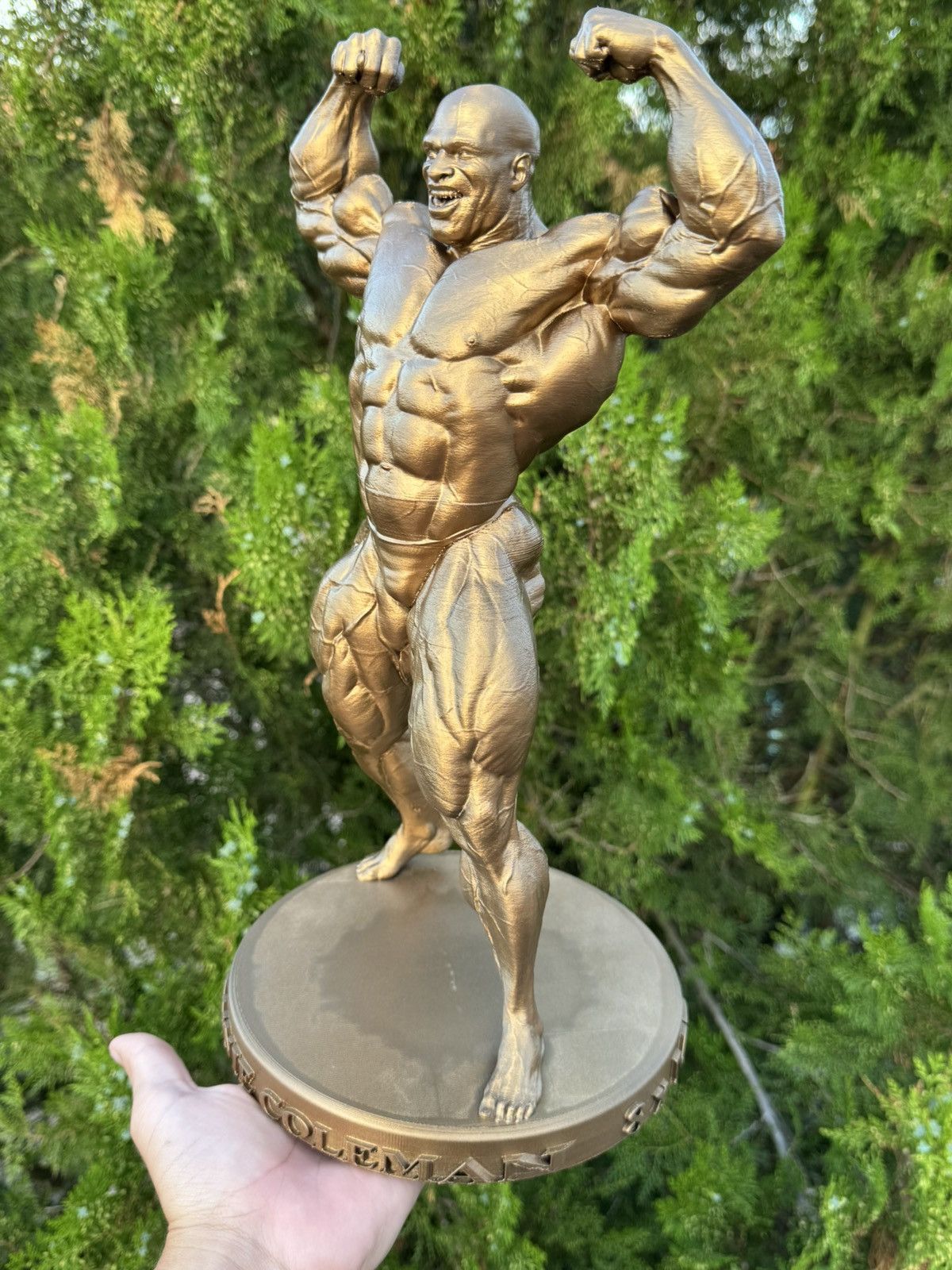Other Gym statue Ronnie Coleman Mr Olympia 37cm Size ONE SIZE - 10 Thumbnail