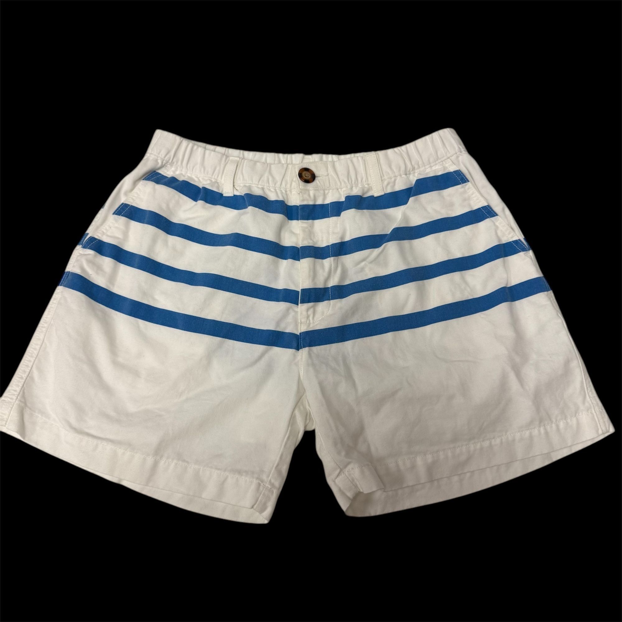 Chubbies Chubbies Stripe BOOMSHAKALAKA Sky's Out Thighs Out Shorts Size US 30 / EU 46 - 1 Thumbnail