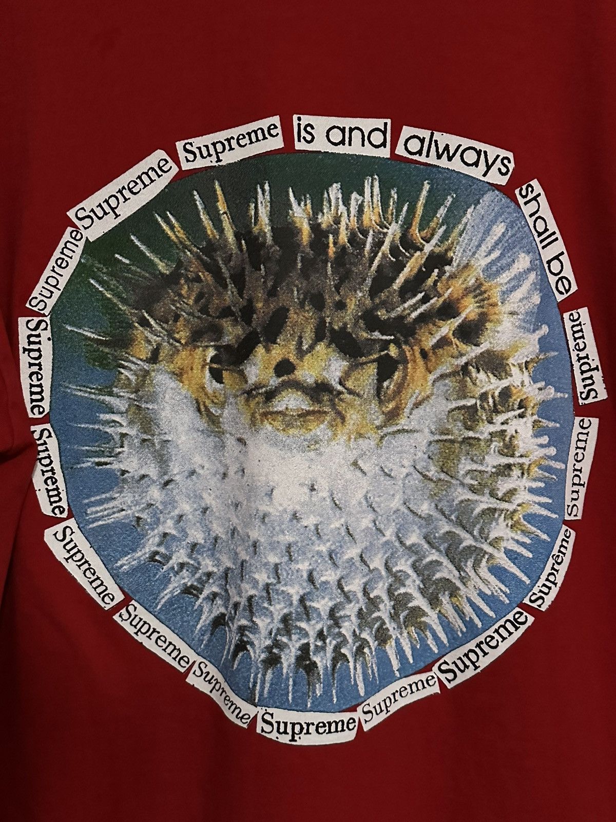 Supreme Supreme Blowfish Tee Size US L / EU 52-54 / 3 - 2 Thumbnail