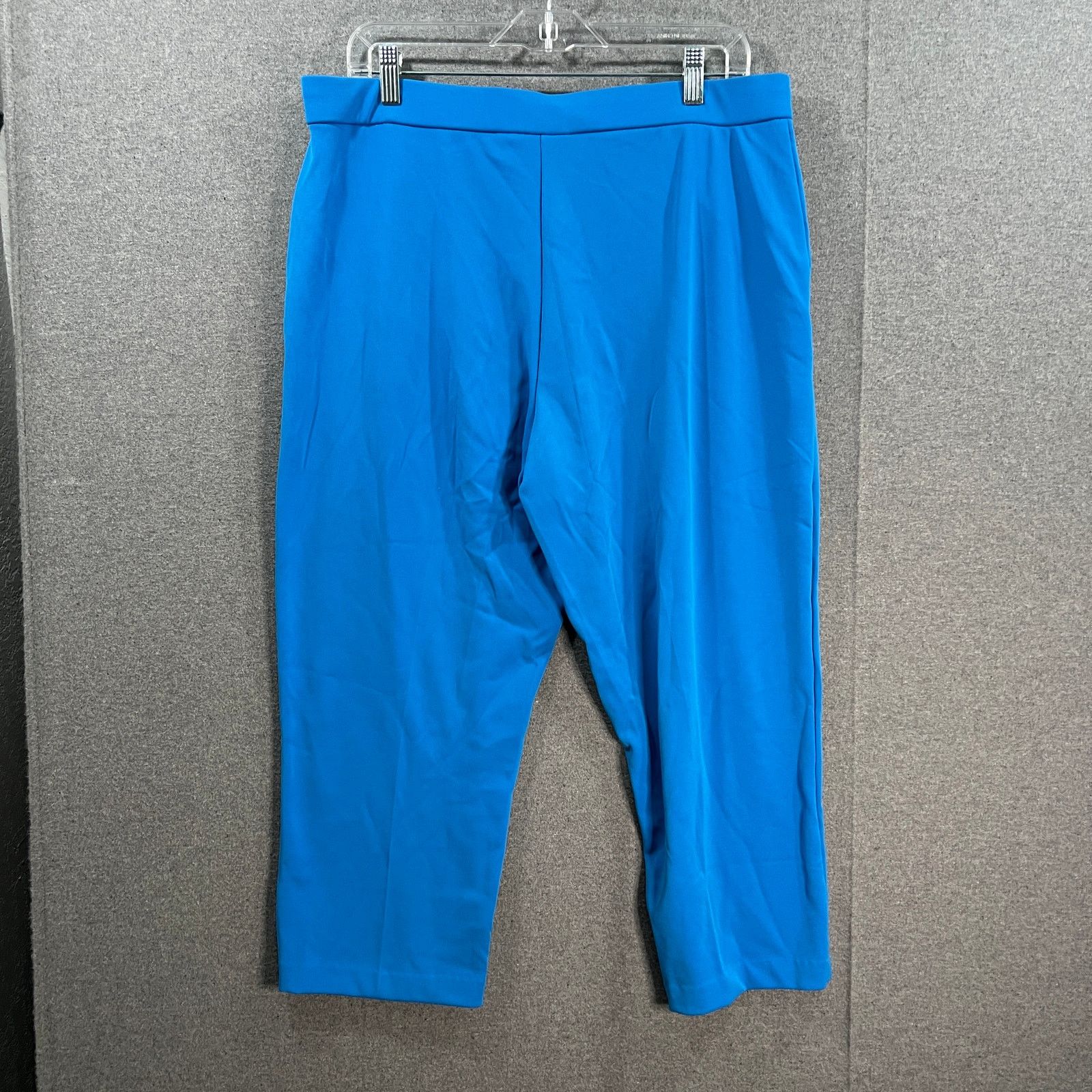 Other Susan Graver Regular LK Fusion Pull-On Crop Pant Cabana Size 34" / US 12 / IT 48 - 2 Thumbnail