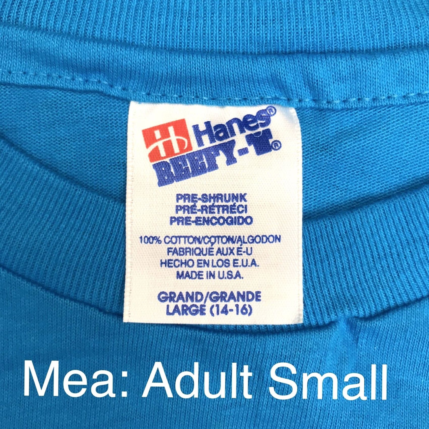 Hanes VINTAGE Hanes T-Shirt Blue Adult Small Crew Neck Short Sleeve 100% Cotton Single Stitch 90s Mens Size US S / EU 44-46 / 1 - 2 Thumbnail