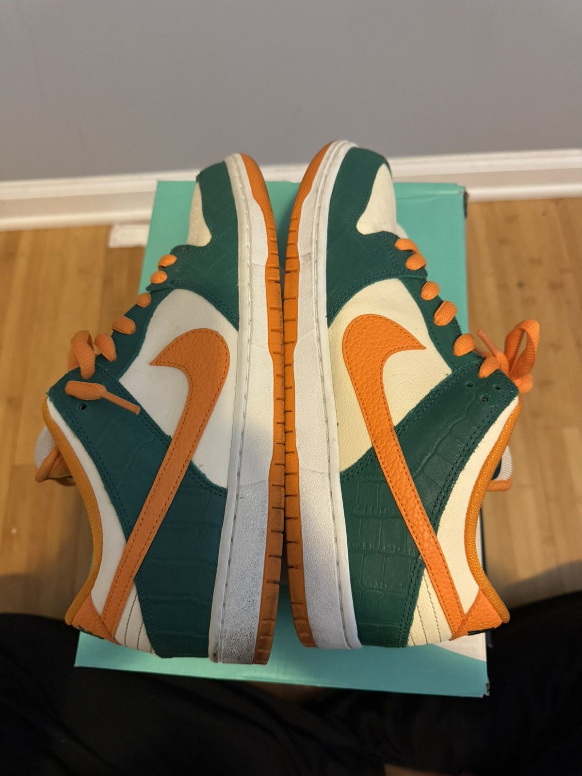 Legion Pine Kumquat