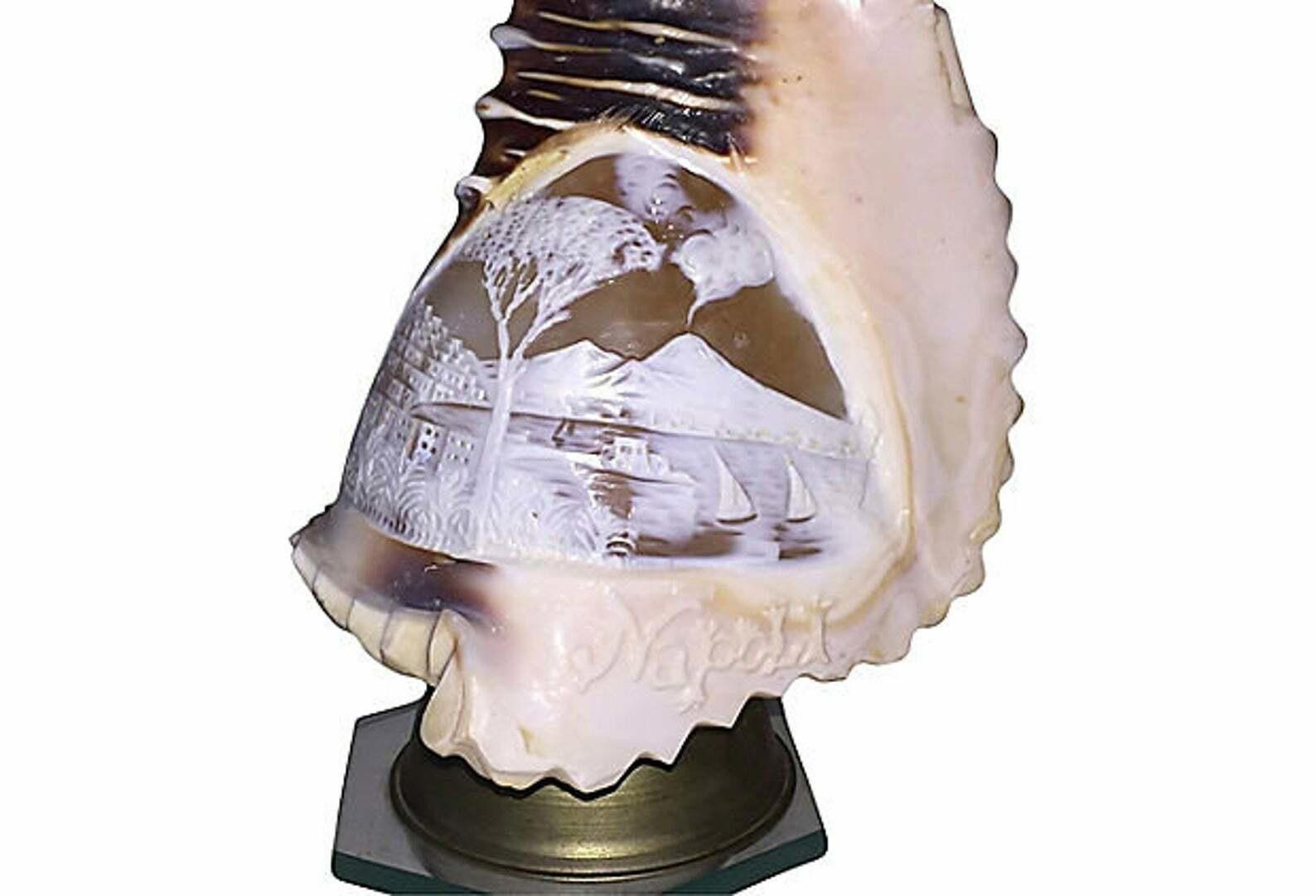 Designer Napoli Conch Souvenir Lamp Size ONE SIZE - 1 Thumbnail