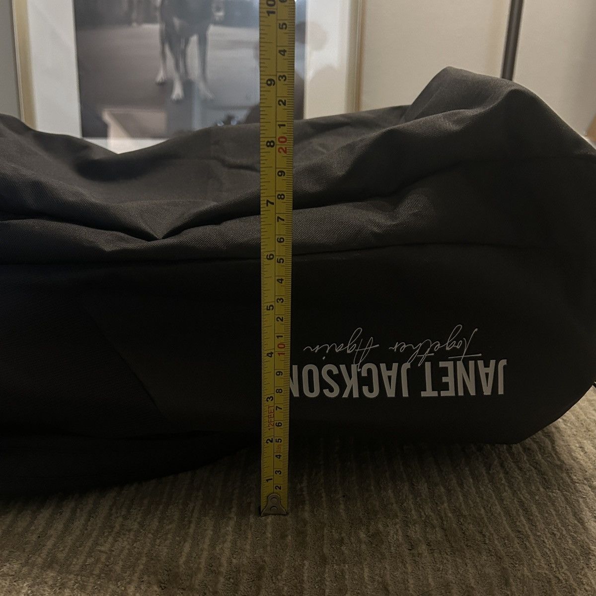Osprey Osprey Daylite × PRG Janet Jackson Tour Backpack Size ONE SIZE - 8 Thumbnail