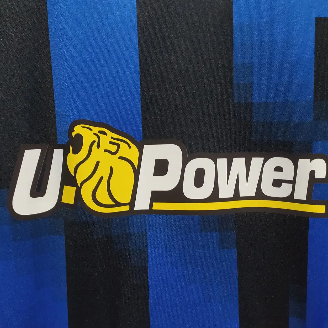 Nike x Inter Milan x Ninja Turles 23/24 Lautaro #10 Home