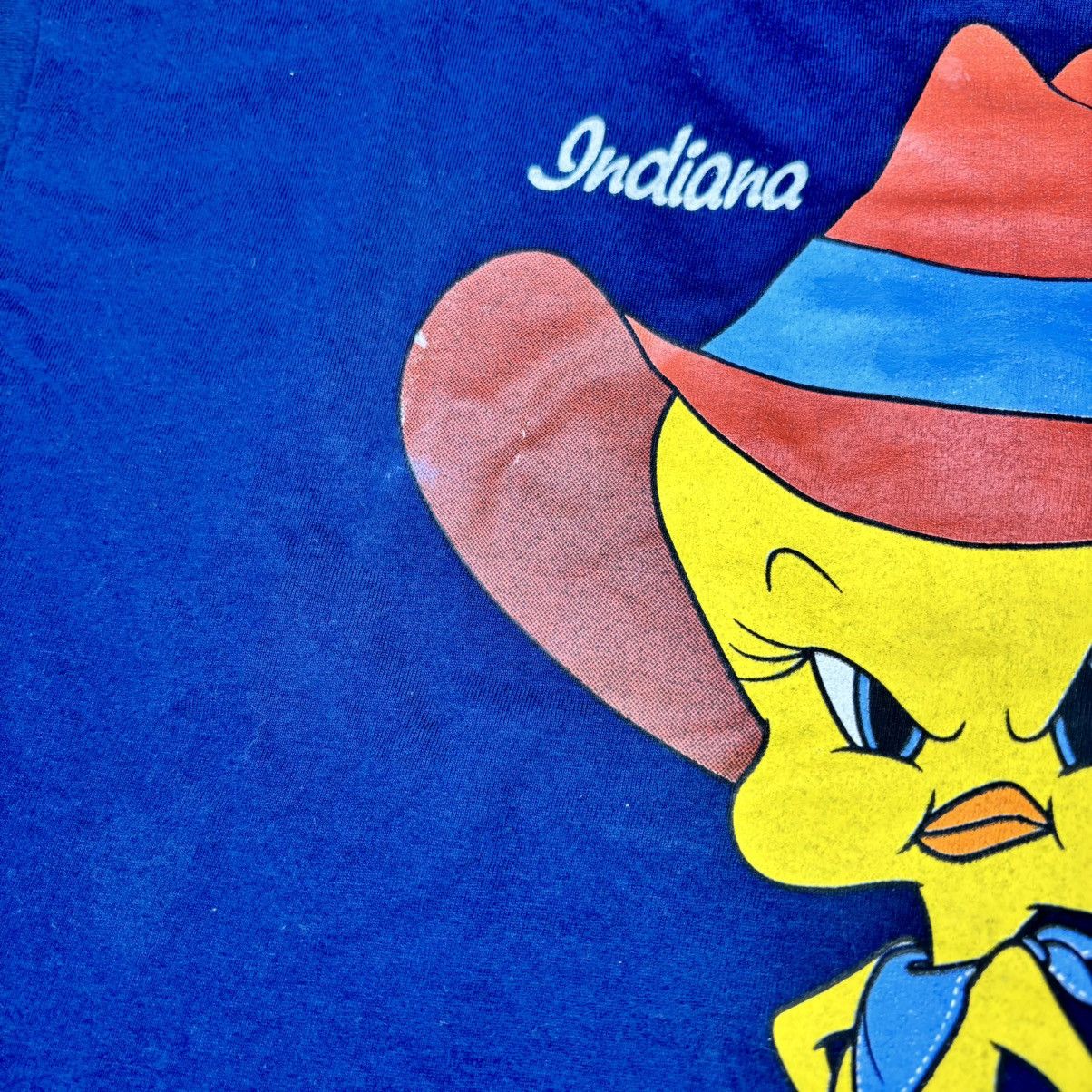 Other Tweety Bird 1993 Blue Cowboy “Twy It” T-Shirt Size Large Size US L / EU 52-54 / 3 - 12 Thumbnail