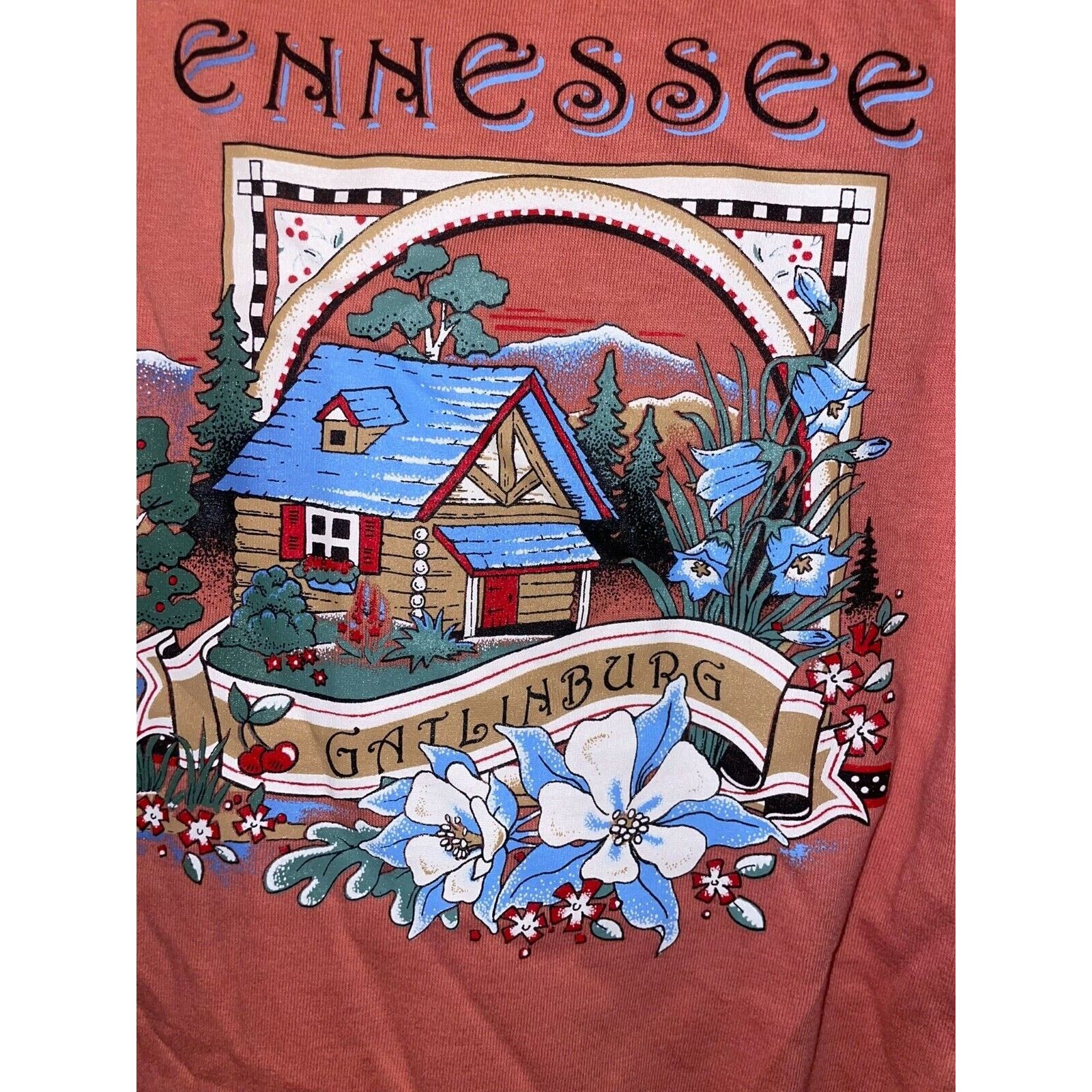 Jerzees Vintage Tennessee Gatlinburg Shirt Peach Pink Tee VTG 90s L Size US L / EU 52-54 / 3 - 3 Thumbnail