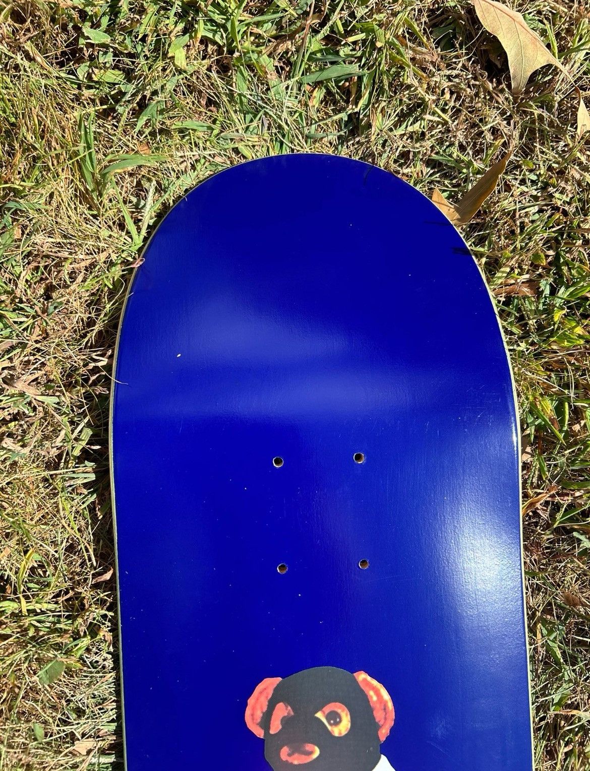 Fuck The Population FTP Bear Skateboard Deck - 8.5 Size ONE SIZE - 5 Thumbnail