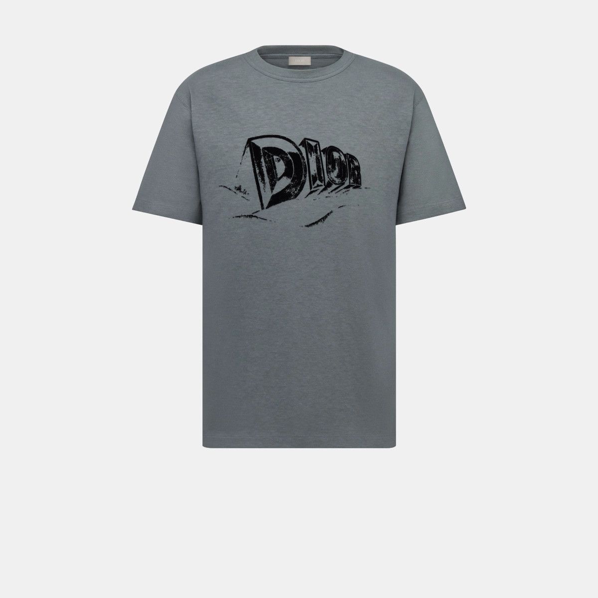Dior o1bcso1str0225 Relaxed-Fit T-Shirt in Grey Size US XL / EU 56 / 4 - 1 Thumbnail