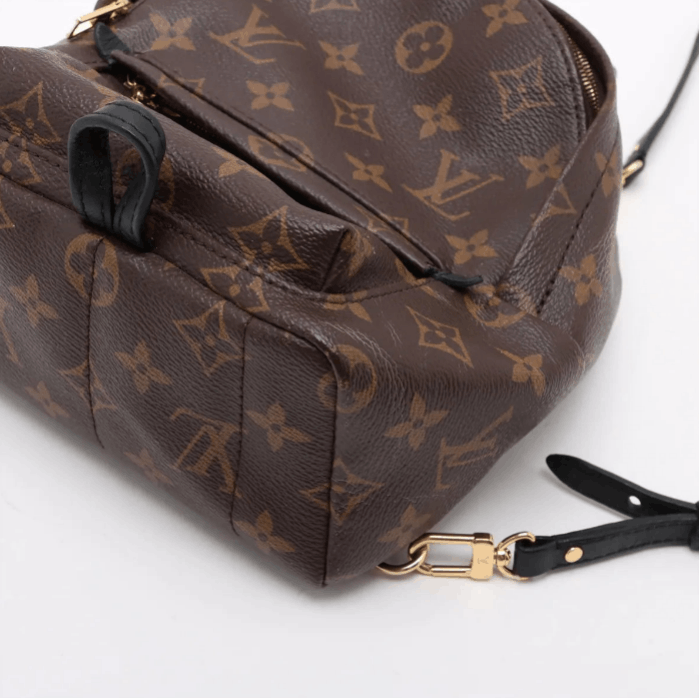 Louis Vuitton Monogram Palm Springs Mini Backpack Size ONE SIZE - 3 Thumbnail