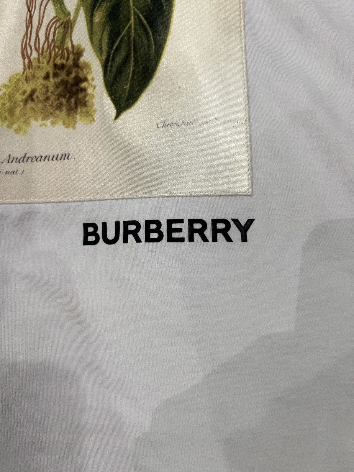 Burberry Burberry Botanical Sketch T-Shirt Size US S / EU 44-46 / 1 - 6 Thumbnail