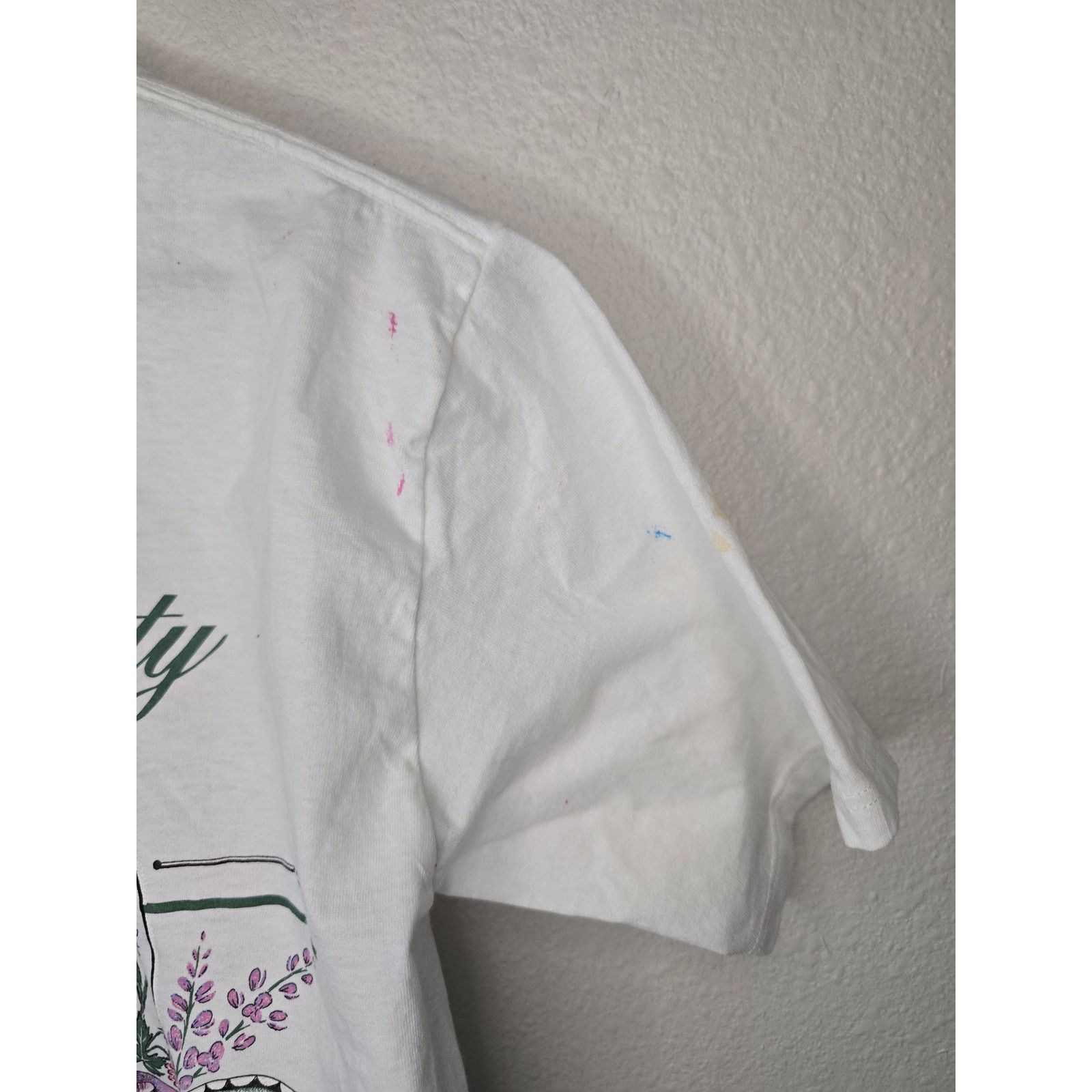 Jerzees × Vintage Vintage Test Print White New Mexico Floral Door Country Tee Size US M / EU 48-50 / 2 - 8 Thumbnail