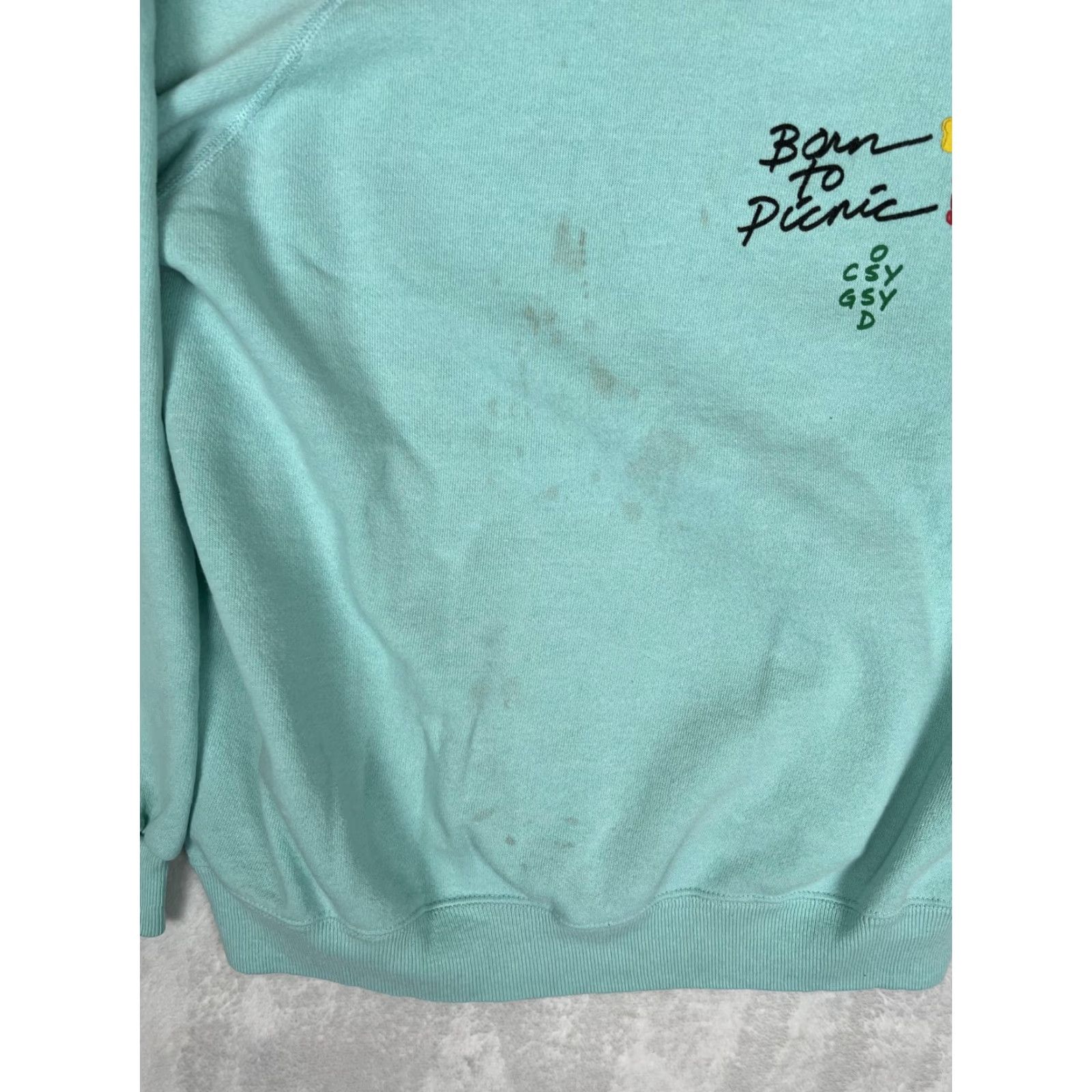 Hanes VINTAGE Hecker Pass Summer Sweatshirt Mens M/L Green Born To Picnic Fleece 1991 Size US M / EU 48-50 / 2 - 5 Thumbnail