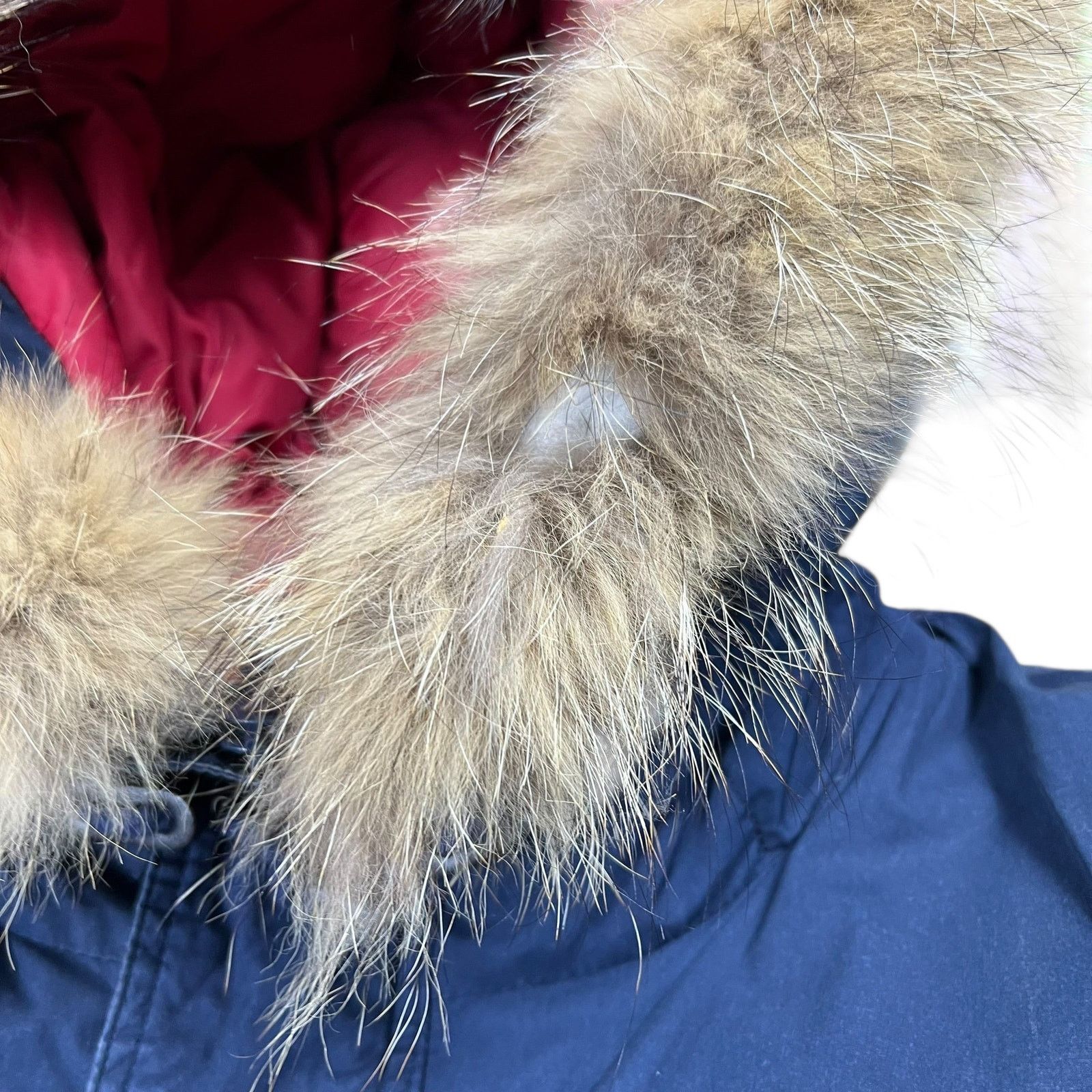 Tommy Hilfiger × Vintage Vintage 90s Tommy Hilfiger fur hood mini patch jacket (M) Size US M / EU 48-50 / 2 - 7 Thumbnail