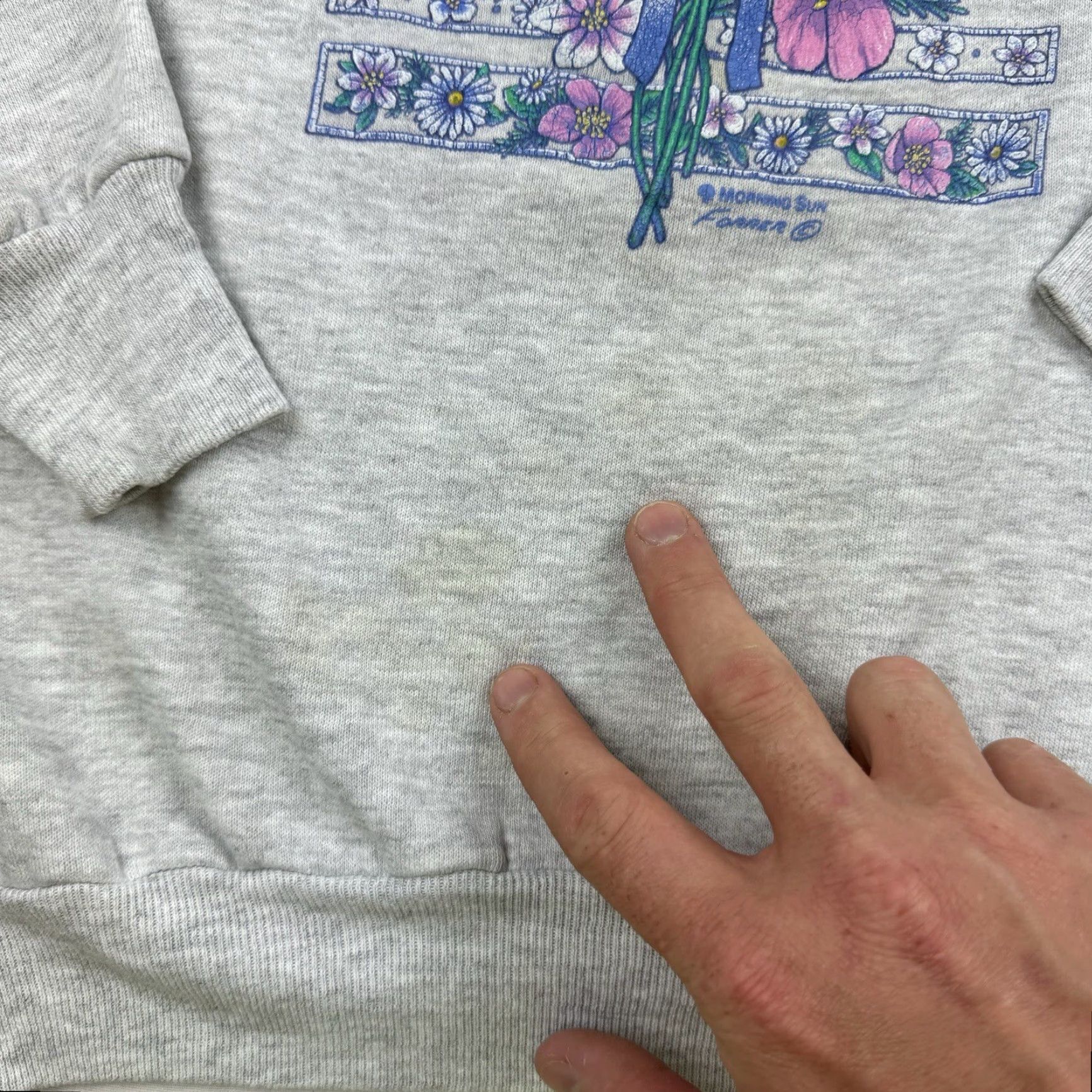 Vintage VINTAGE Morning Sun Sweatshirt Womens Small Gray Floral 90s Nature Activewear Size S / US 4 / IT 40 - 5 Thumbnail