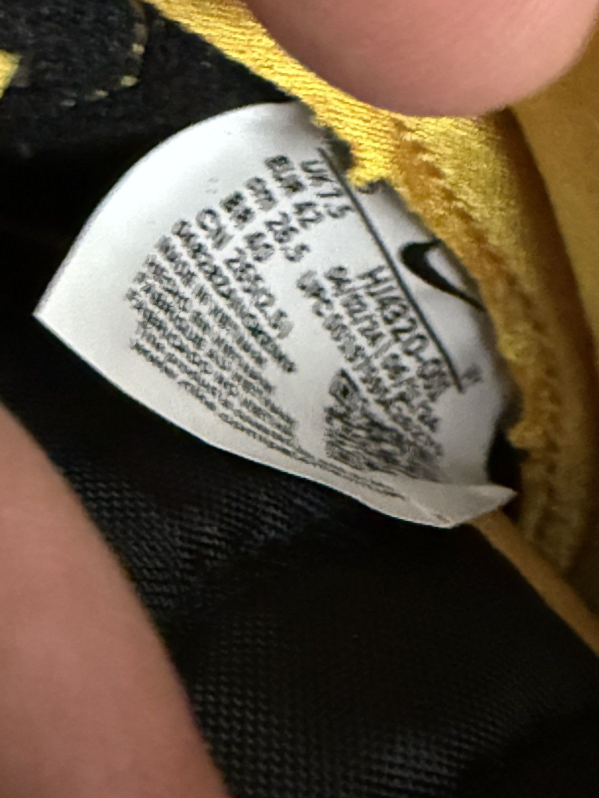 Nike X Wu Tang dunk Hi