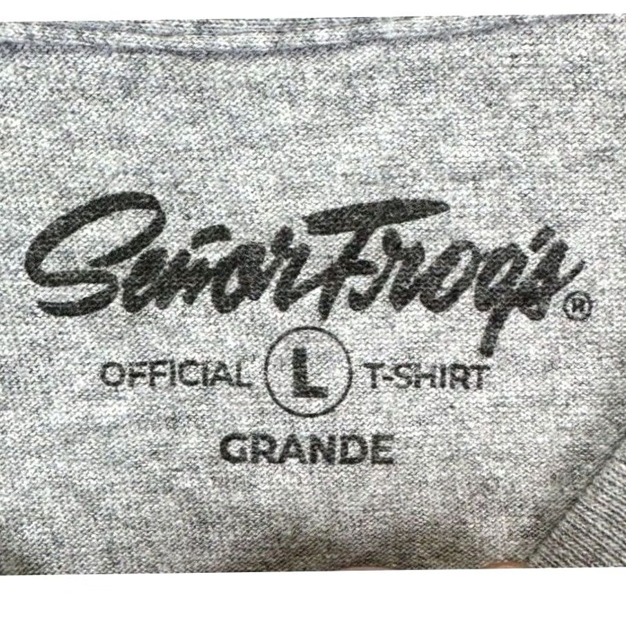 Vintage Senior Frogs T-Shirt Mens L Gray Graphic Print Short Sleeve Tee Casual EUC Size US L / EU 52-54 / 3 - 3 Thumbnail