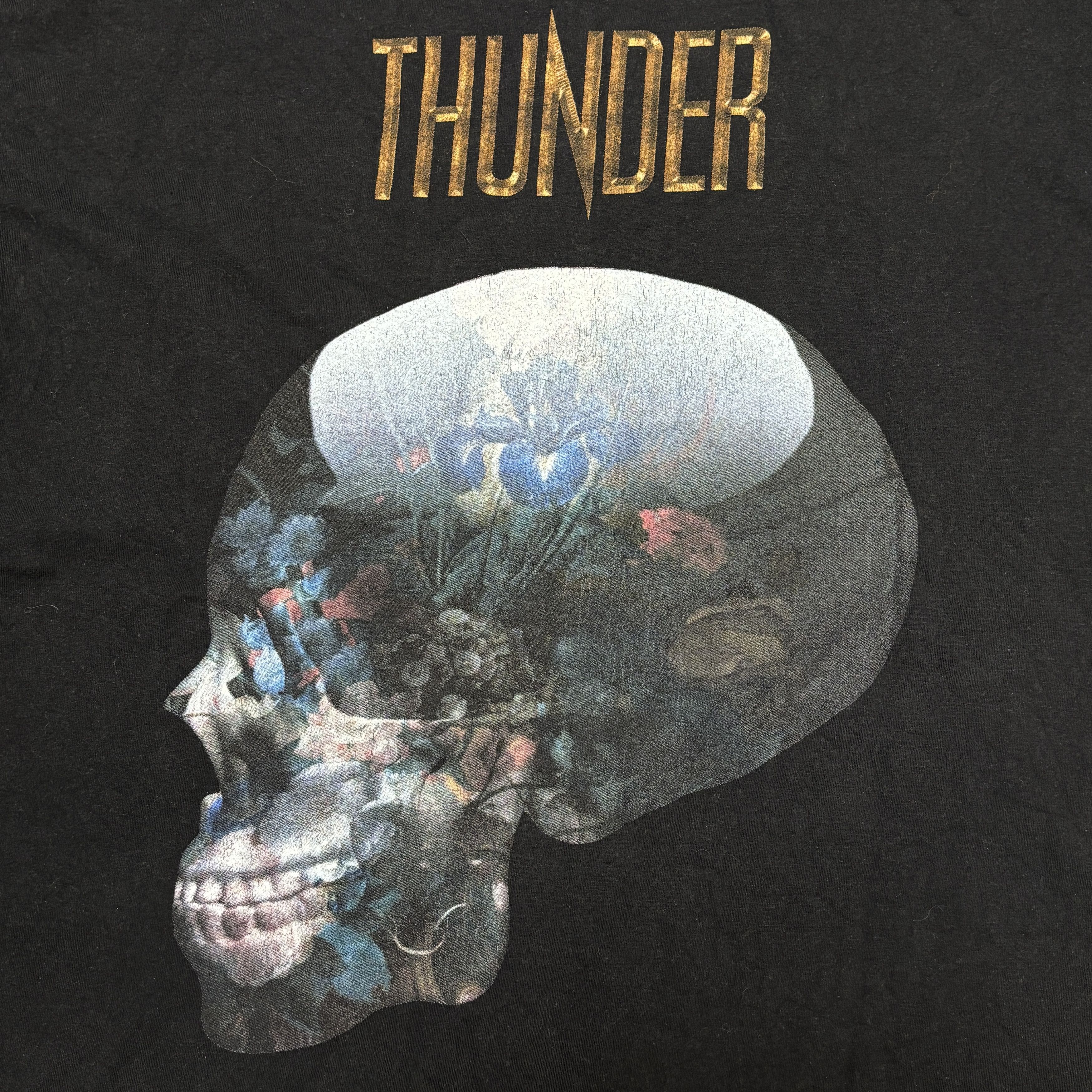 Band Tees Thunder Vintage Band T Shirt Tour Def Leppard Whitesnake Size US XL / EU 56 / 4 - 4 Thumbnail