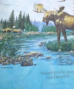Vintage VTG Habitat XCVIII Mount New Hampshire Moose AOP Oneita Tag Size US XXL / EU 58 / 5 - 6 Thumbnail
