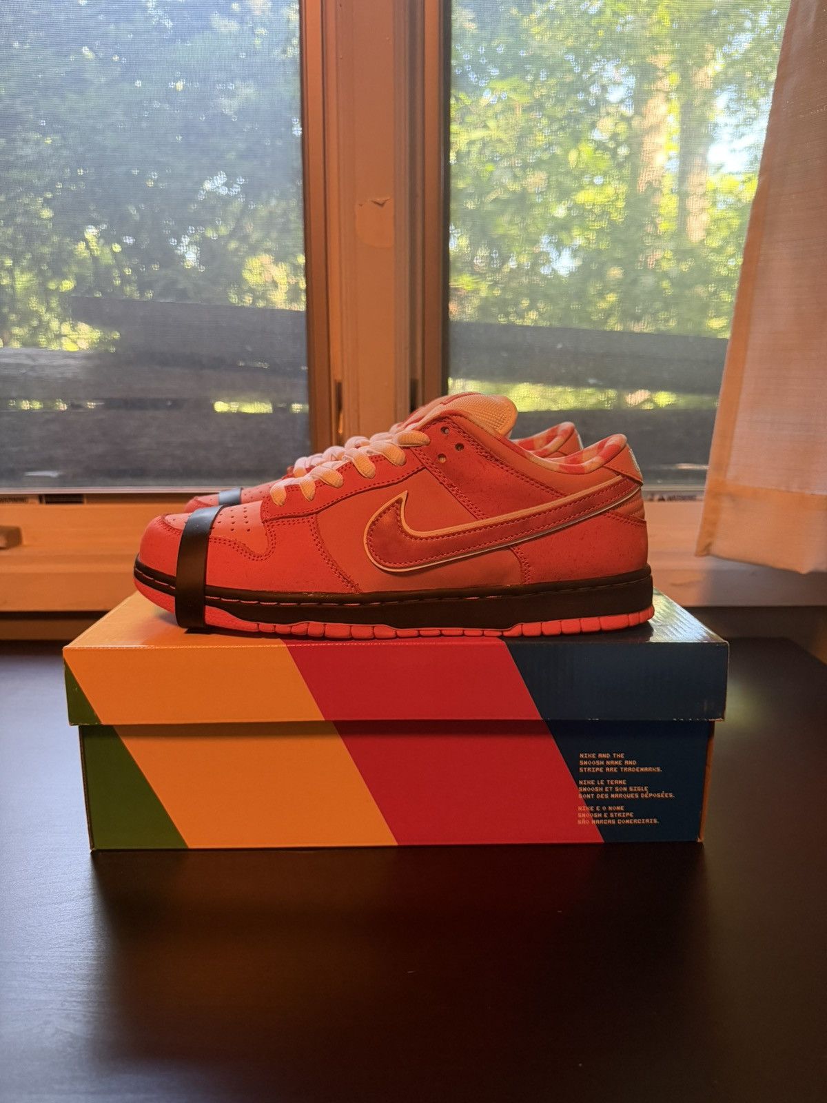 Nike Nike SB Dunk Low Concepts Orange Lobster Size US 10 / EU 43 - 4 Thumbnail
