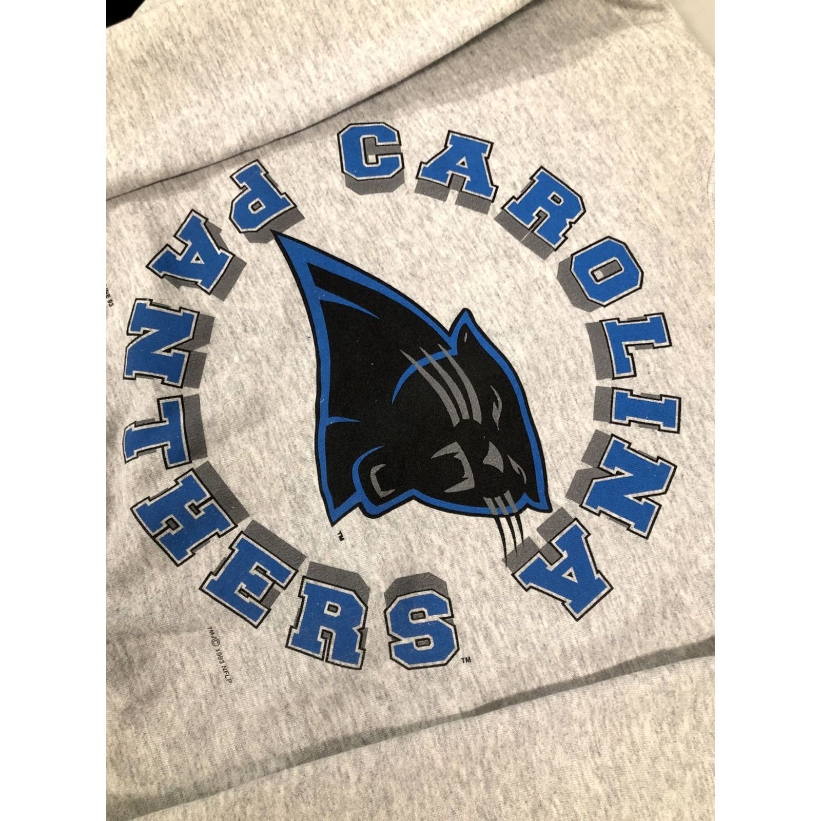 Tultex VINTAGE Tultex Carolina Panthers Sweatshirt 1993 Crew Neck XL Men Gray USA 90s Football NFL Graphic Print Pullover Size US XL / EU 56 / 4 - 2 Thumbnail