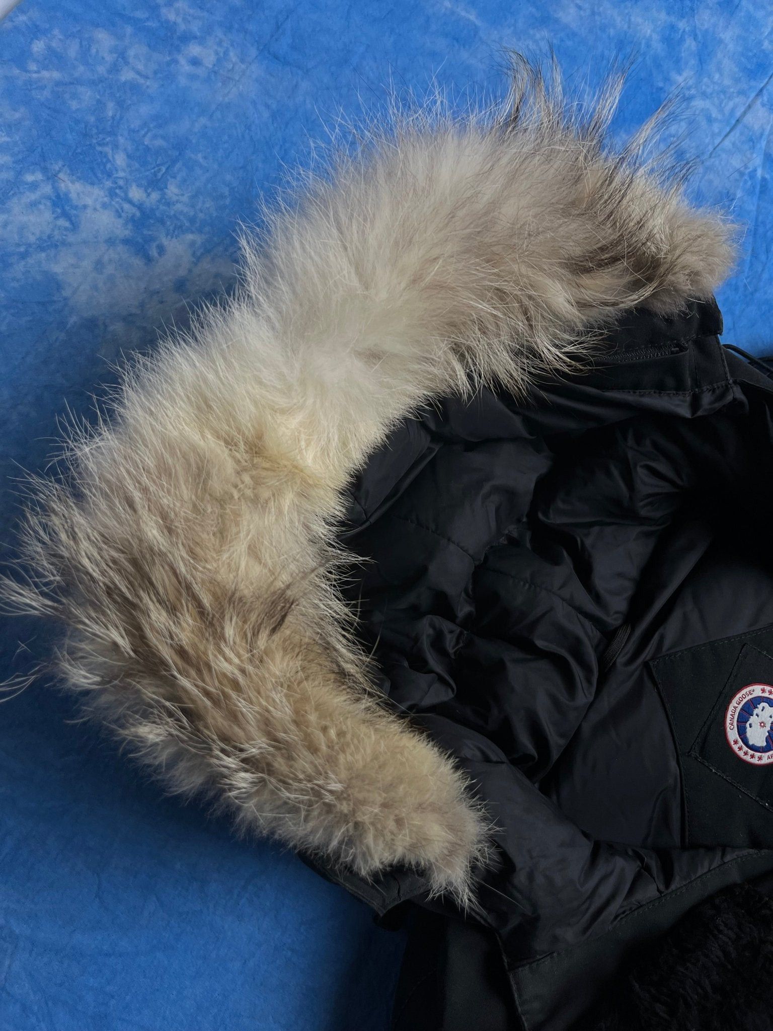 Canada Goose Canada Goose Expedition Parka L Size US L / EU 52-54 / 3 - 7 Thumbnail