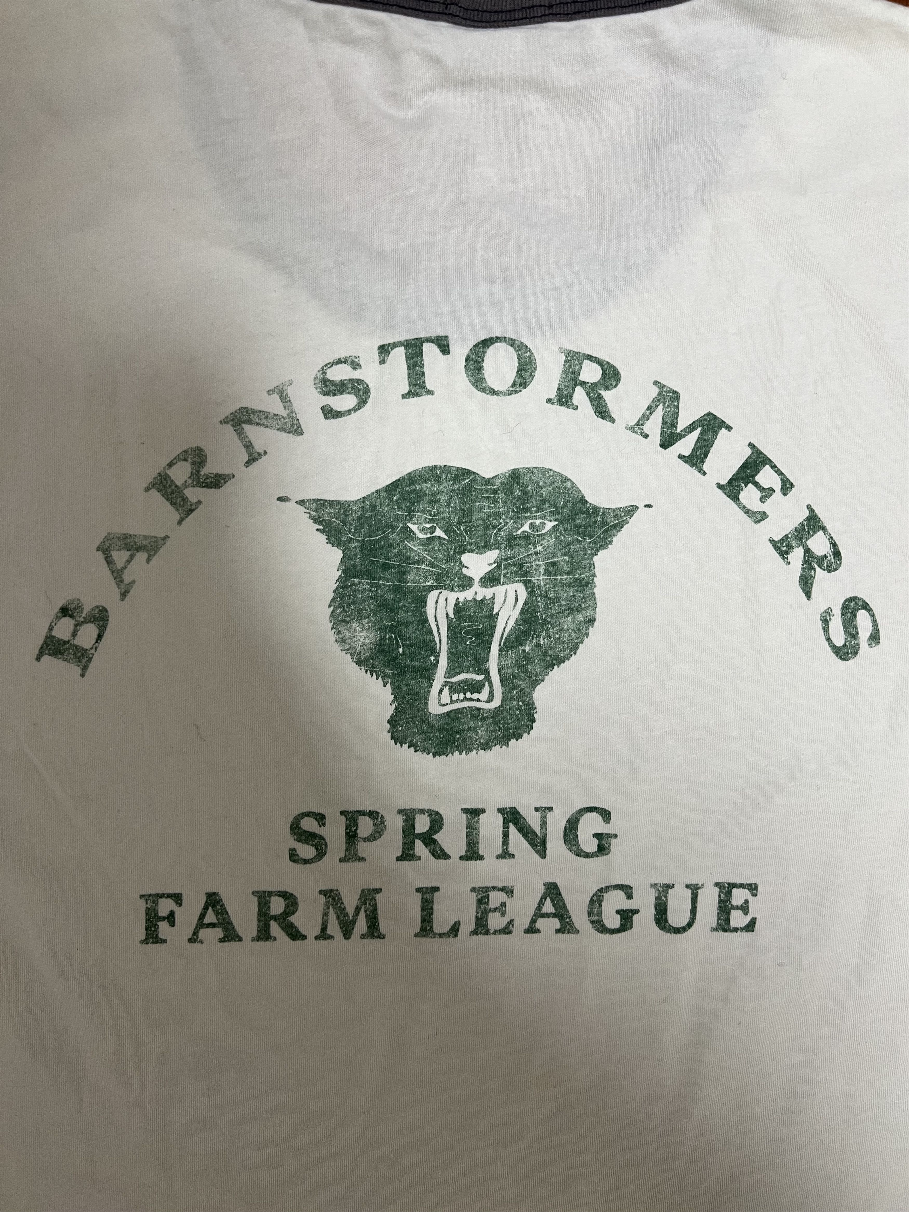 WYTHE 💚 Wythe Cotton Ringer T-Shirt Barnstormers Back Print NEW Size US M / EU 48-50 / 2 - 6 Thumbnail