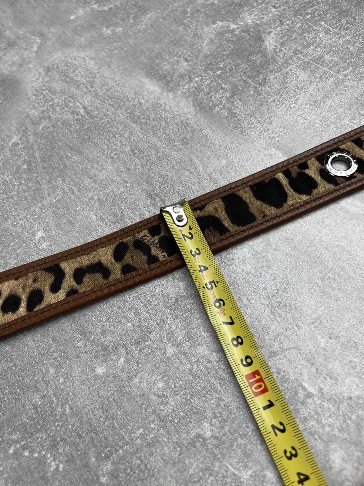 Dolce & Gabbana Dolce Gabbana Leopard Brown Leather Luxury Celebrity Logo Size ONE SIZE - 10 Thumbnail