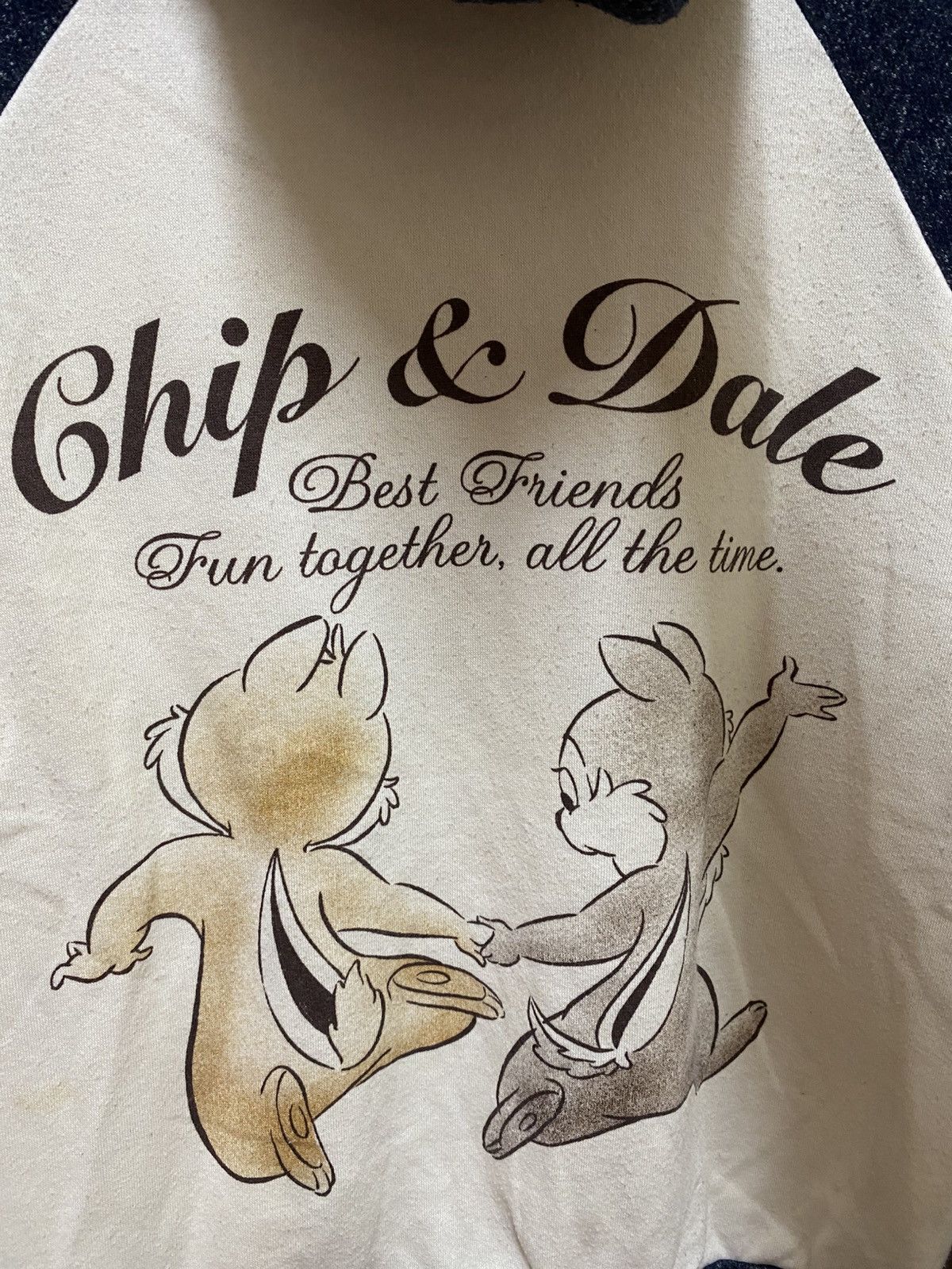 Disney Chip And Dale Hoodie Big Logo Size US M / EU 48-50 / 2 - 4 Thumbnail
