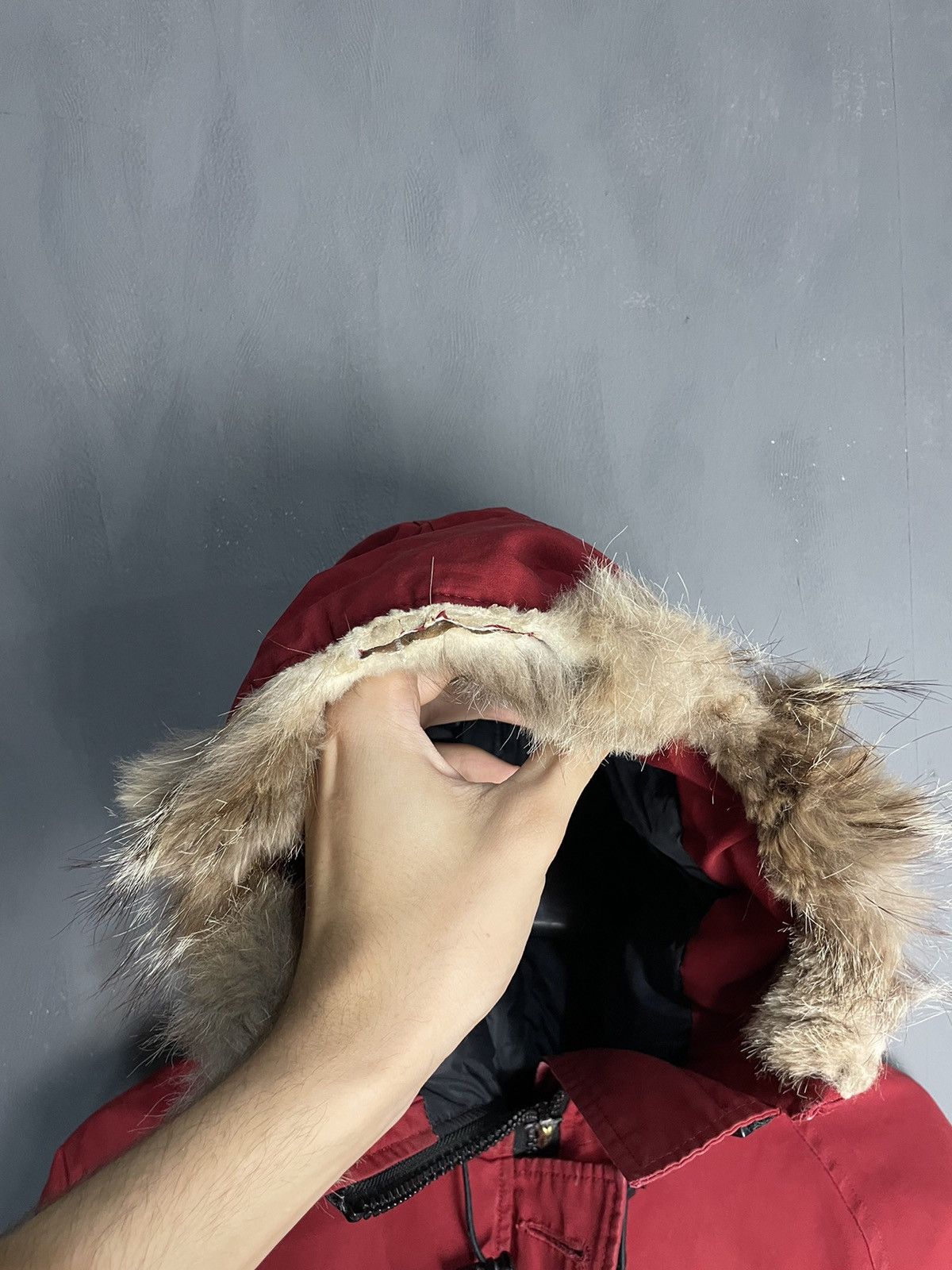 Canada Goose Canada Goose Chilliwack Bomber Fur Jacket Size US S / EU 44-46 / 1 - 8 Thumbnail