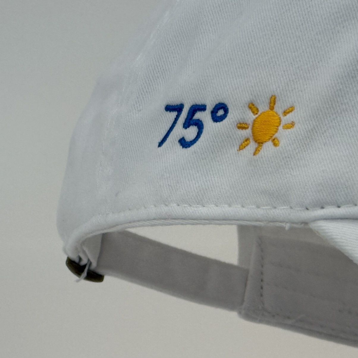 Other LA Forecast Dad Hat – 75 & Sunny Size ONE SIZE - 6 Thumbnail