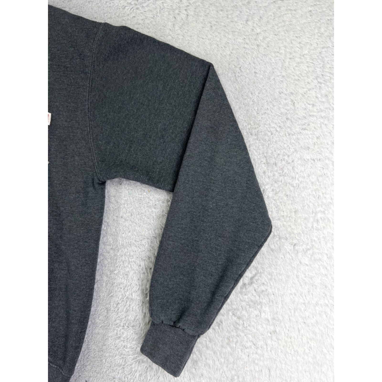 Champion Champion Crew Neck Sweatshirt – Gray, Adult Small, Long Sleeve, Pullover, Regular Fit, Jersey Cotton, Logo, Men Size US S / EU 44-46 / 1 - 2 Thumbnail