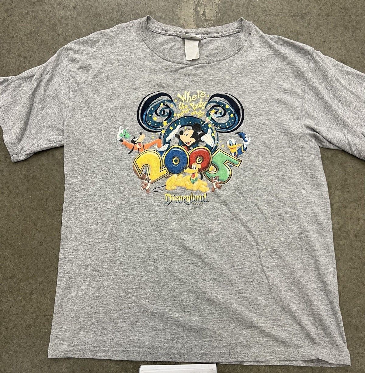 Disney Disneyland 2005 grey tee Size large Size US L / EU 52-54 / 3 - 1 Thumbnail