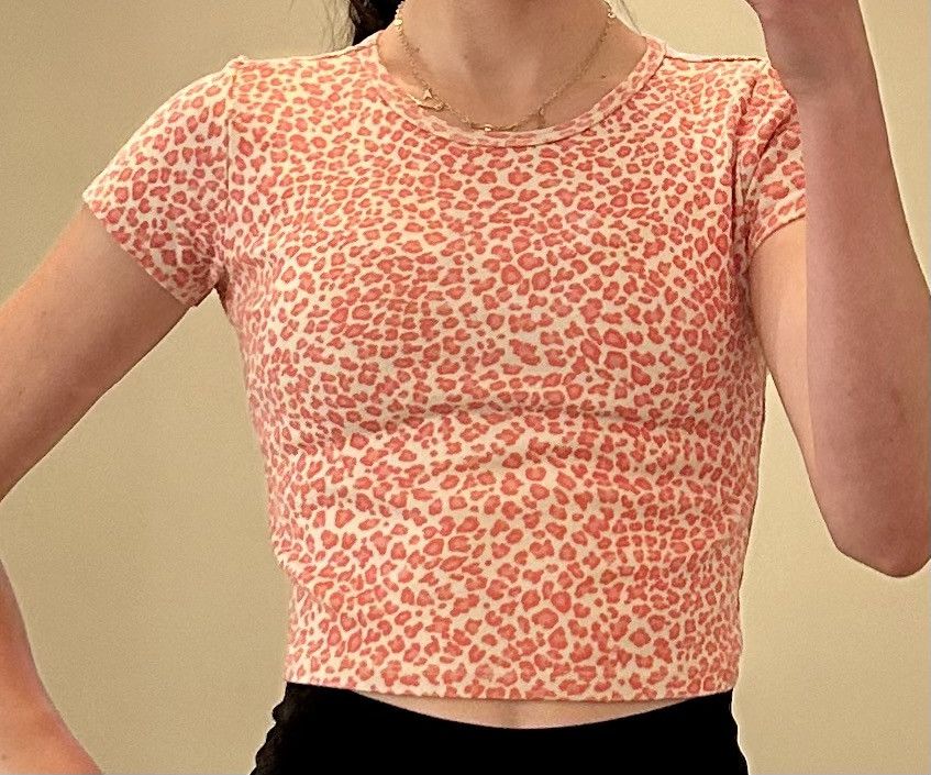 Brandy Melville Brandy Melville pink cheetah print cropped tee Size ONE SIZE - 1 Thumbnail