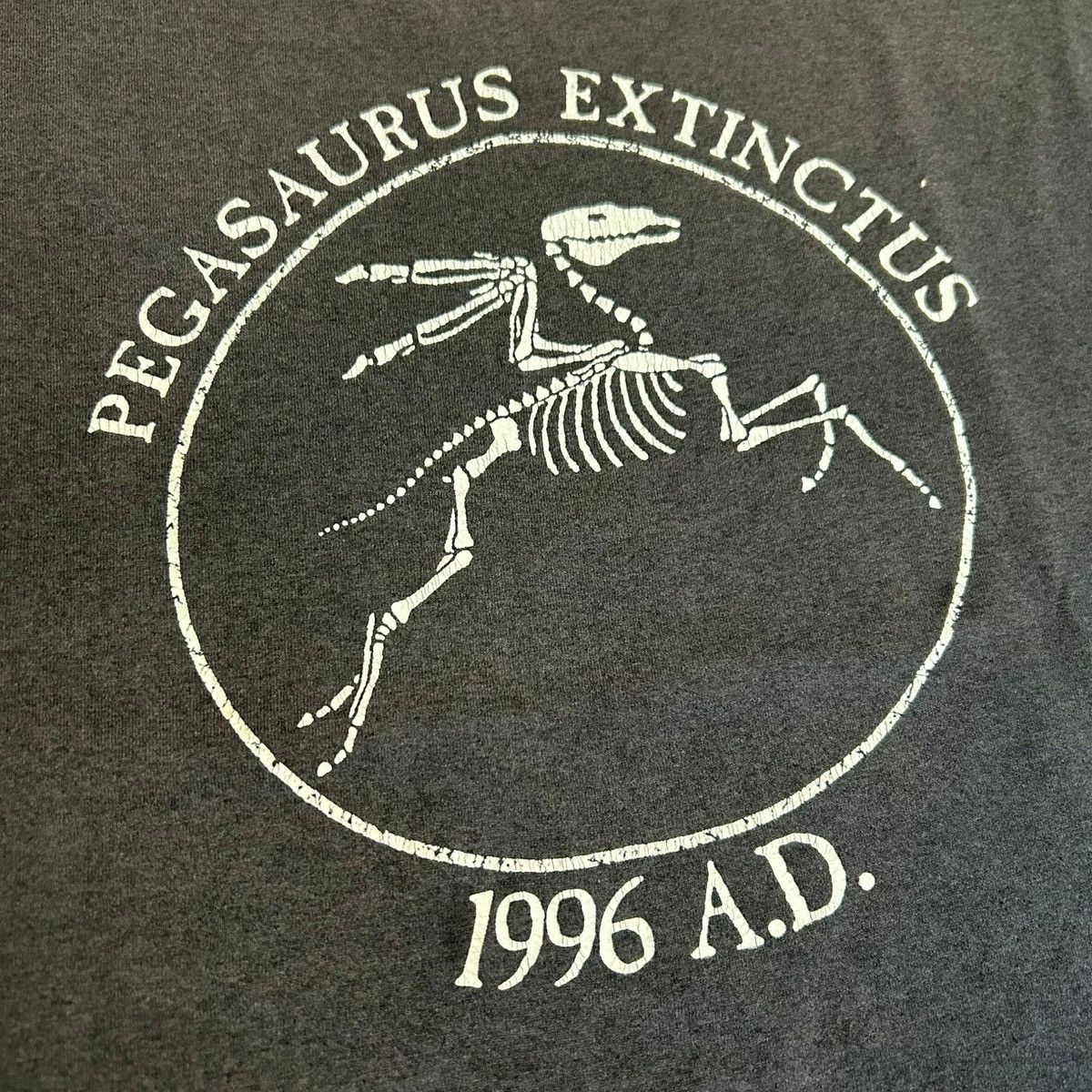 Vintage 1996 Pegasaurus Extinctus Funny Latin Skeleton T Shirt Size US XL / EU 56 / 4 - 2 Thumbnail