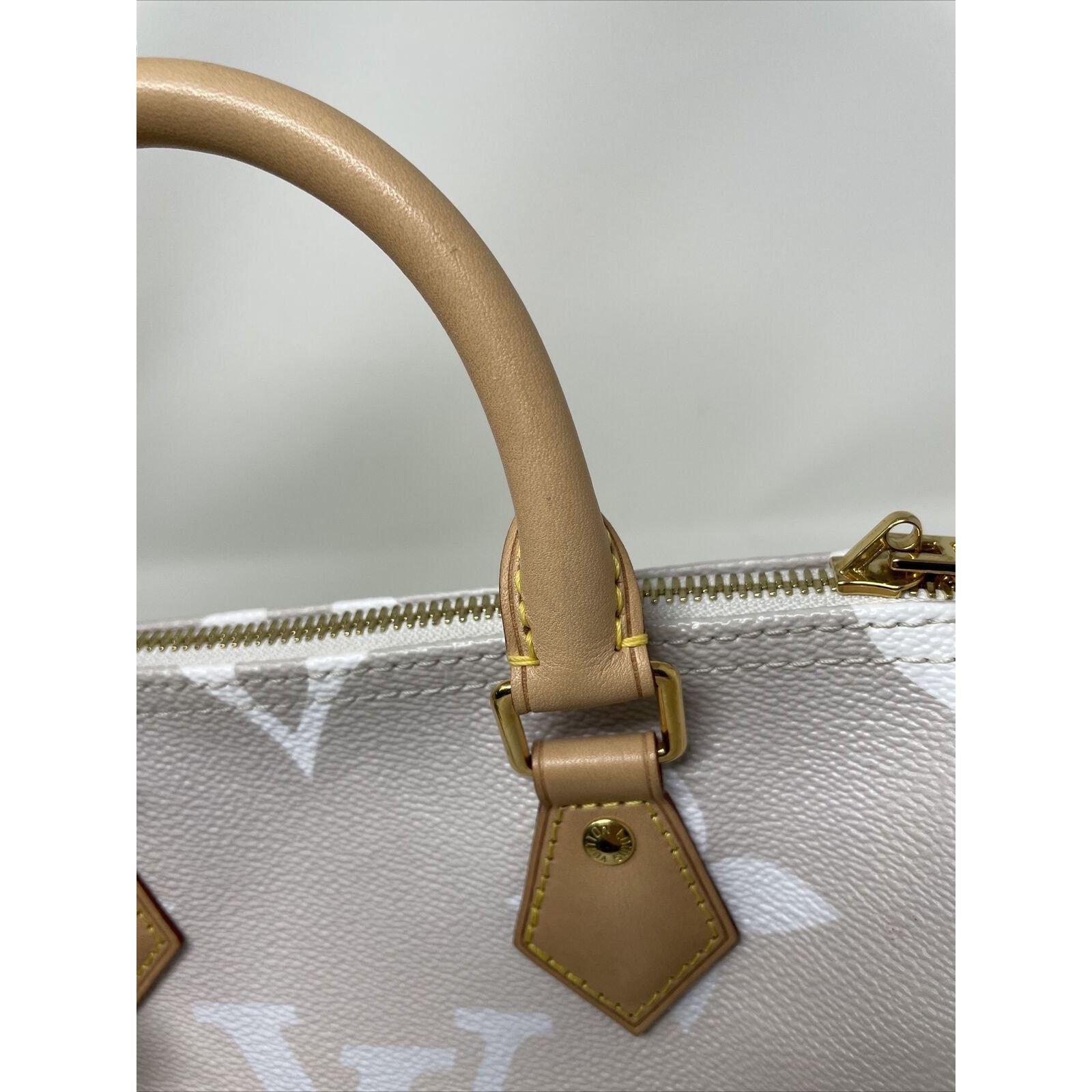 Louis Vuitton Louis Vuitton Speedy 25 Bandouliere By The Pool Brume Mist Size ONE SIZE - 14 Thumbnail