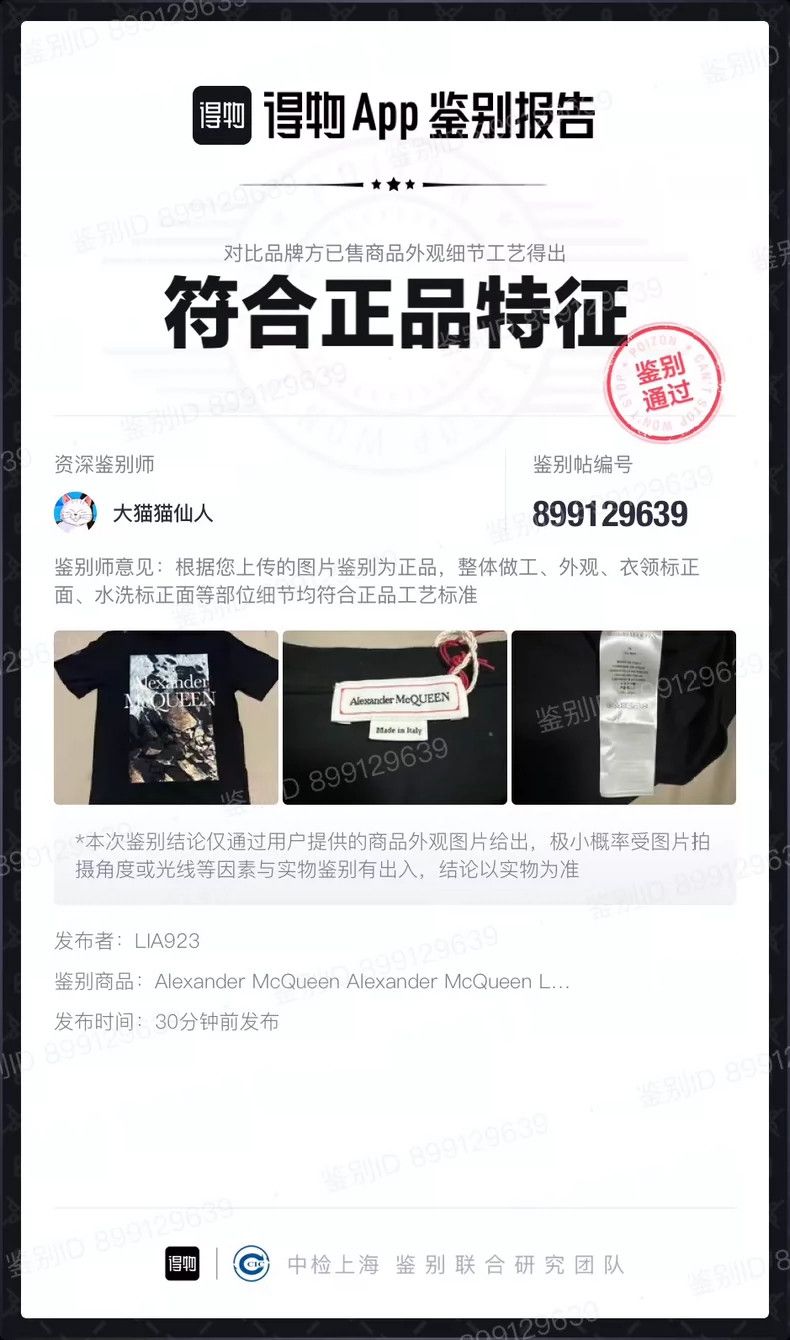 Alexander McQueen Alexander McQUEEN size 36 Printed T - shirt, unisex style Size US XS / EU 42 / 0 - 6 Thumbnail