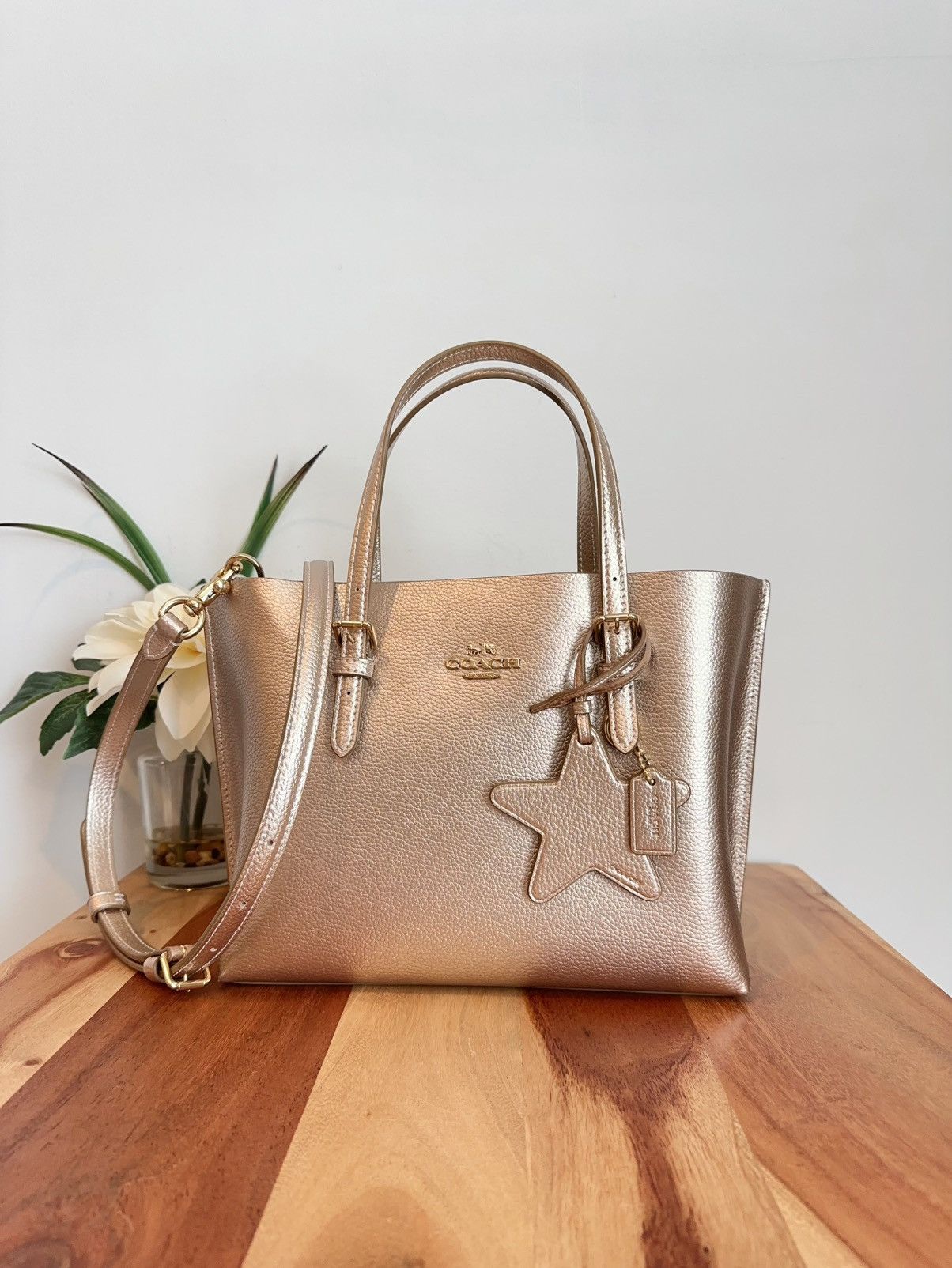 Coach NWT Coach Mollie Tote Bag 25 Size ONE SIZE - 1 Thumbnail
