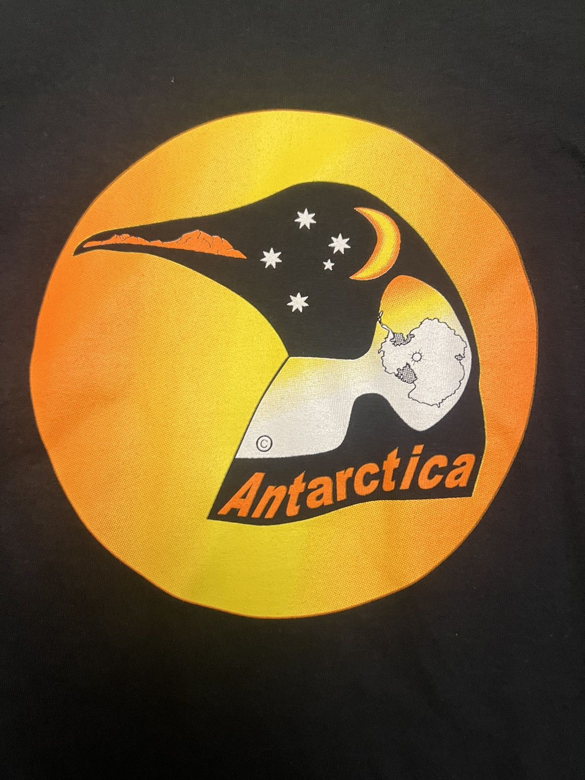 Other × Vintage Vintage Antarctica Penguin Map Tee Size US XL / EU 56 / 4 - 2 Thumbnail