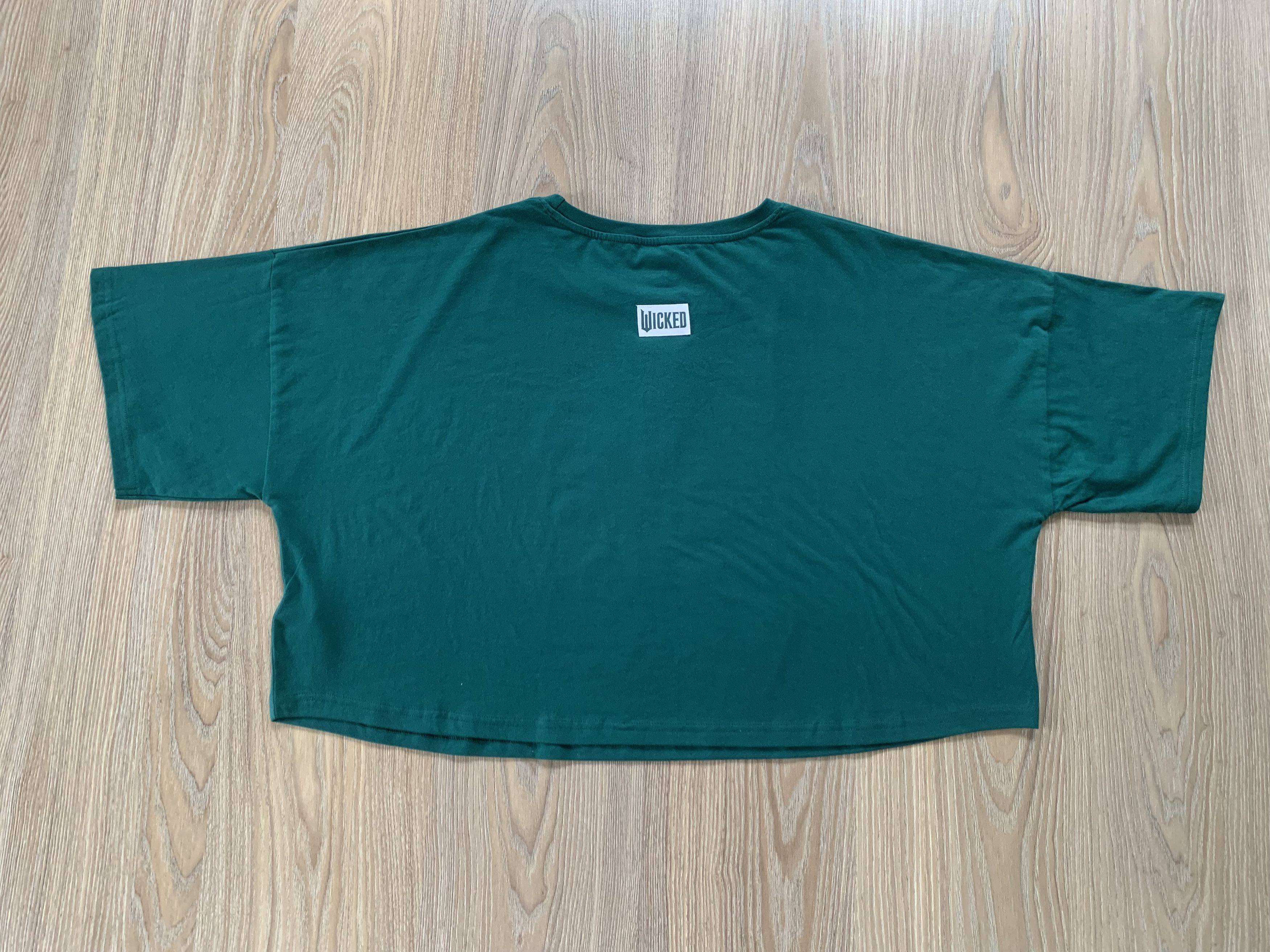 Primark Wicked x Primark Defy Gravity Graphic T-Shirt Size XL / US 12-14 / IT 48-50 - 3 Thumbnail