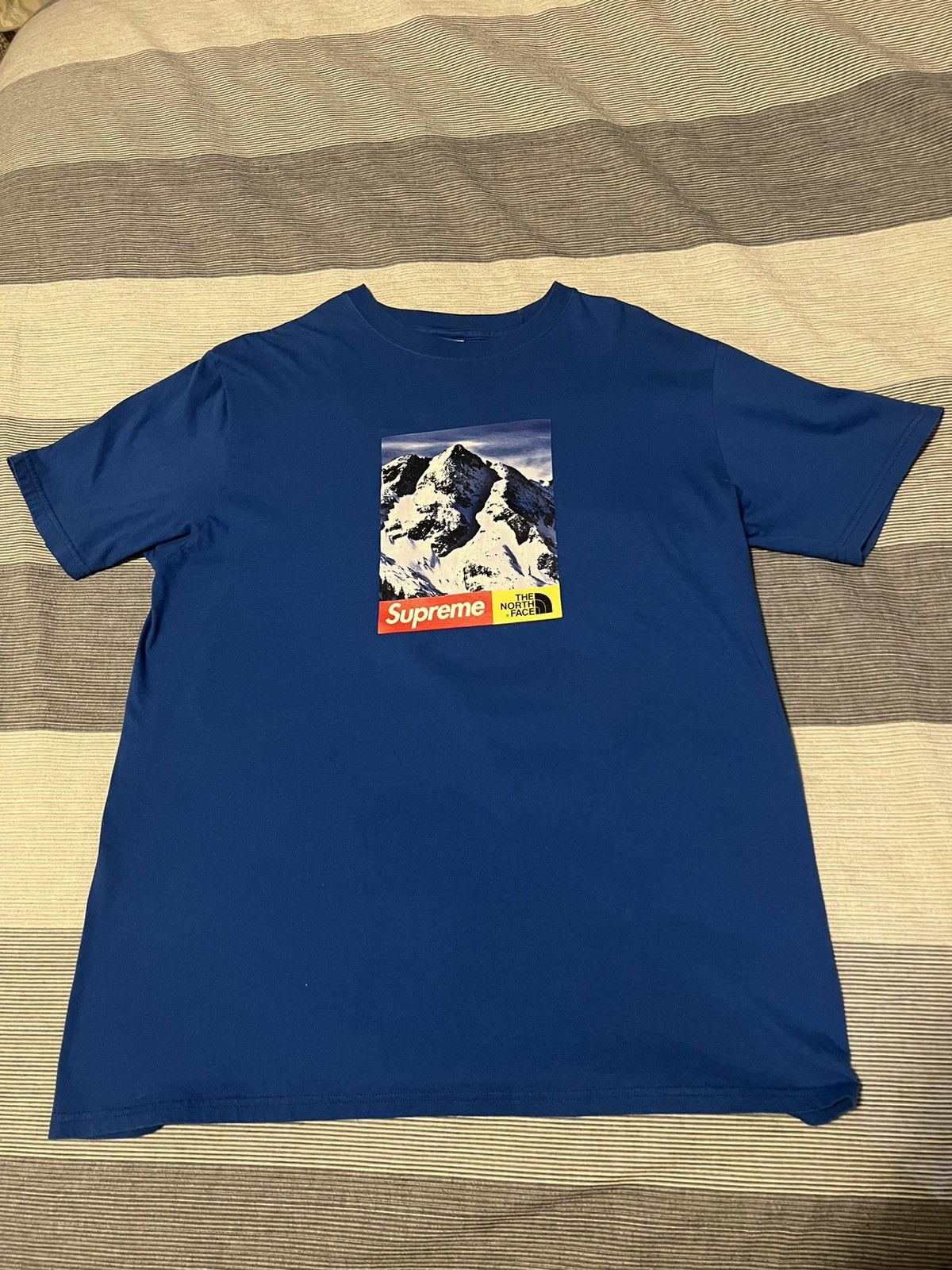 Supreme The North authentic Face Mountain Tee