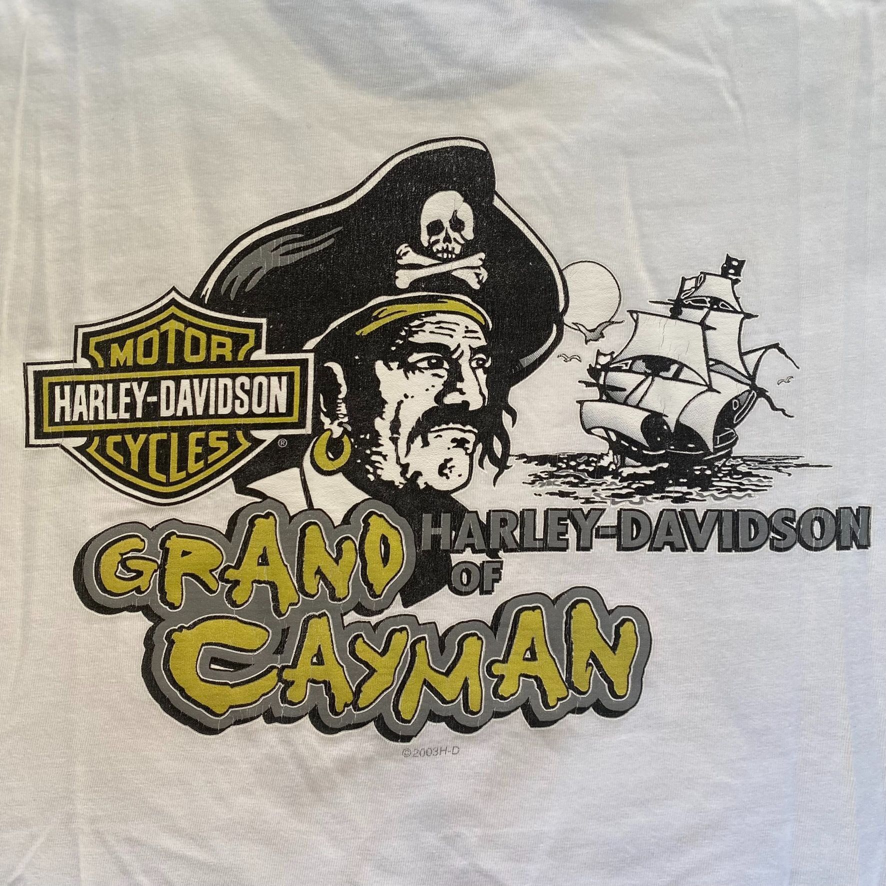 Harley Davidson Vintage Y2K Harley Davidson Shirt Pirate Punk Biker Tee Size US L / EU 52-54 / 3 - 8 Thumbnail