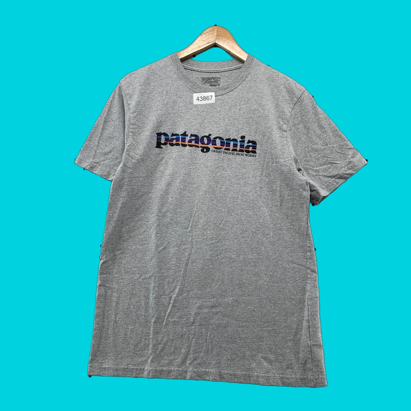 Patagonia Patagonia Shirt Mens M Gray Outdoor Great Pacific Iron Works Tee Size US M / EU 48-50 / 2 - 1 Thumbnail