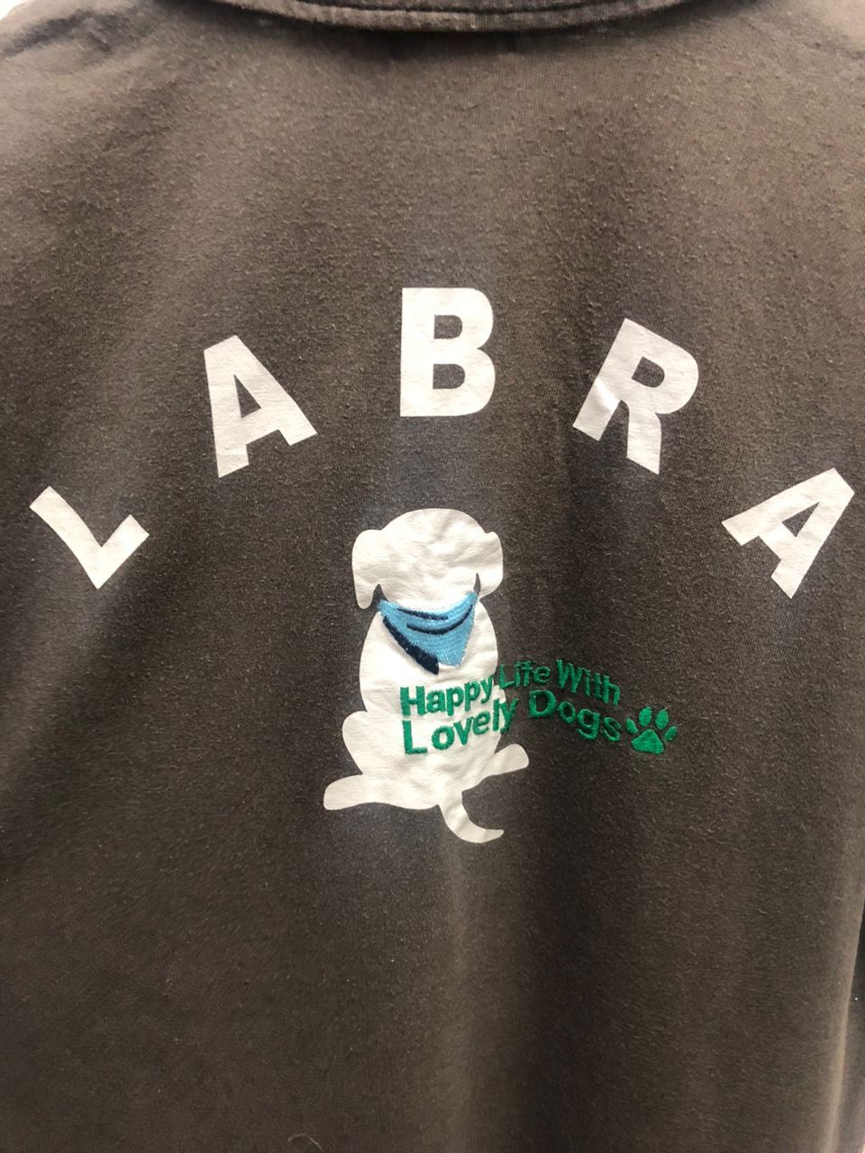 American Apparel Rare USA Japan LABRA POP Dog Animal polo Size US M / EU 48-50 / 2 - 2 Thumbnail